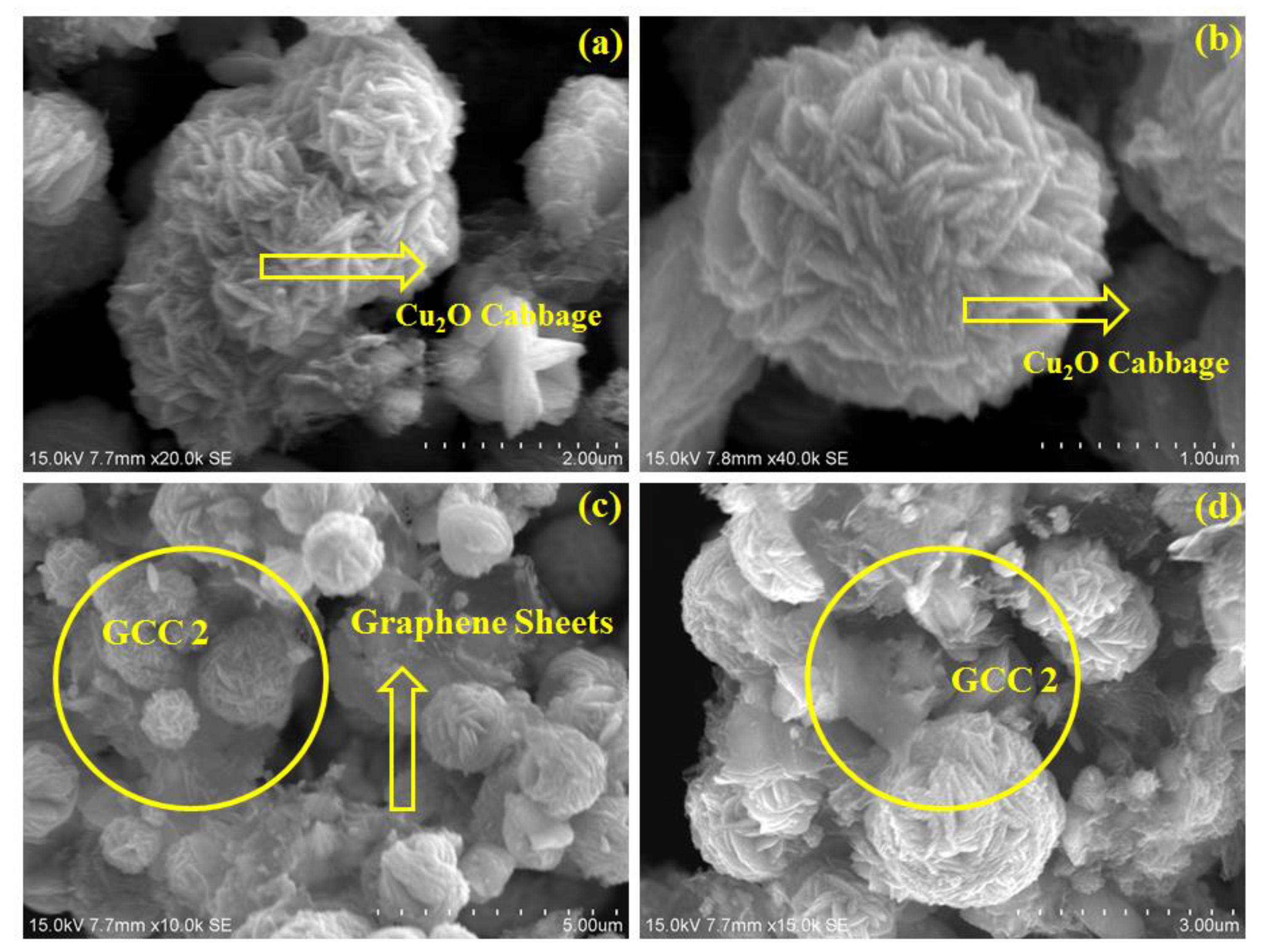 Polymers 13 01712 g006 Polymers 13 01712 g006