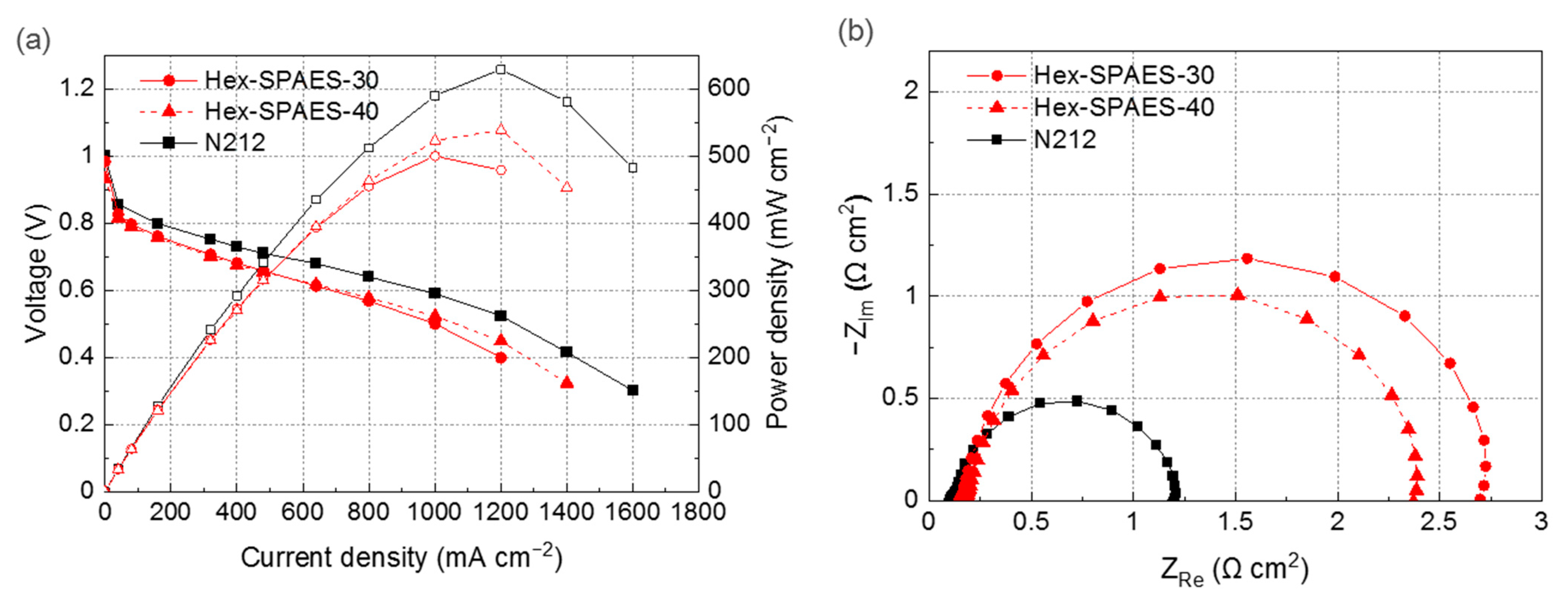 Polymers 13 01713 g005