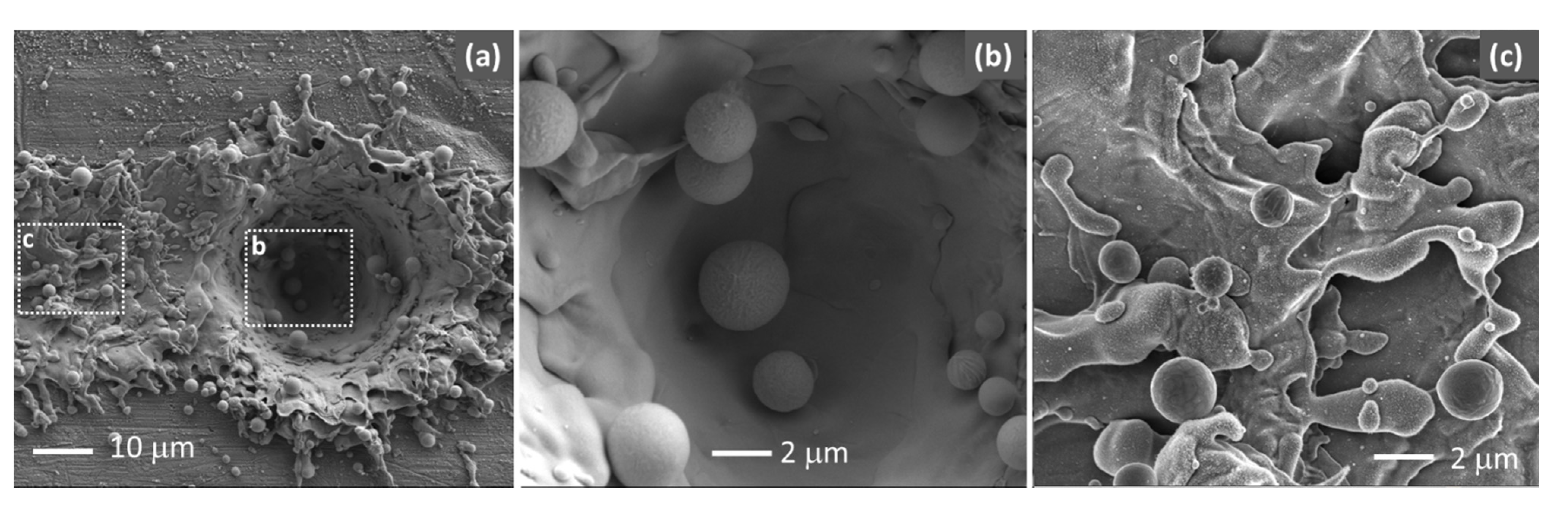Polymers 13 01721 g004
