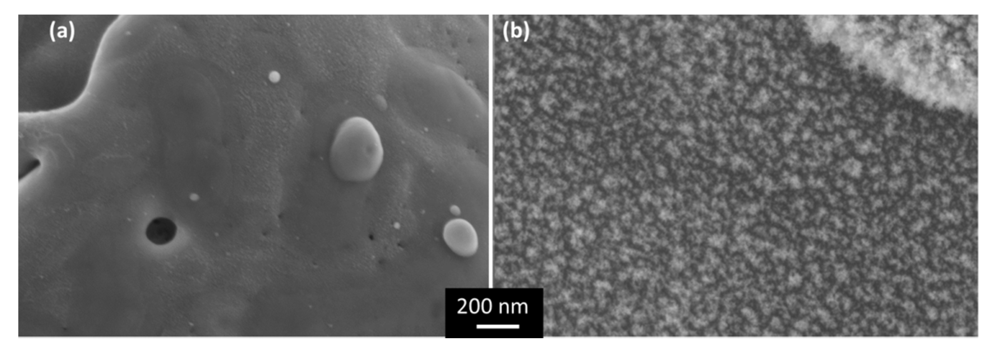 Polymers 13 01721 g005