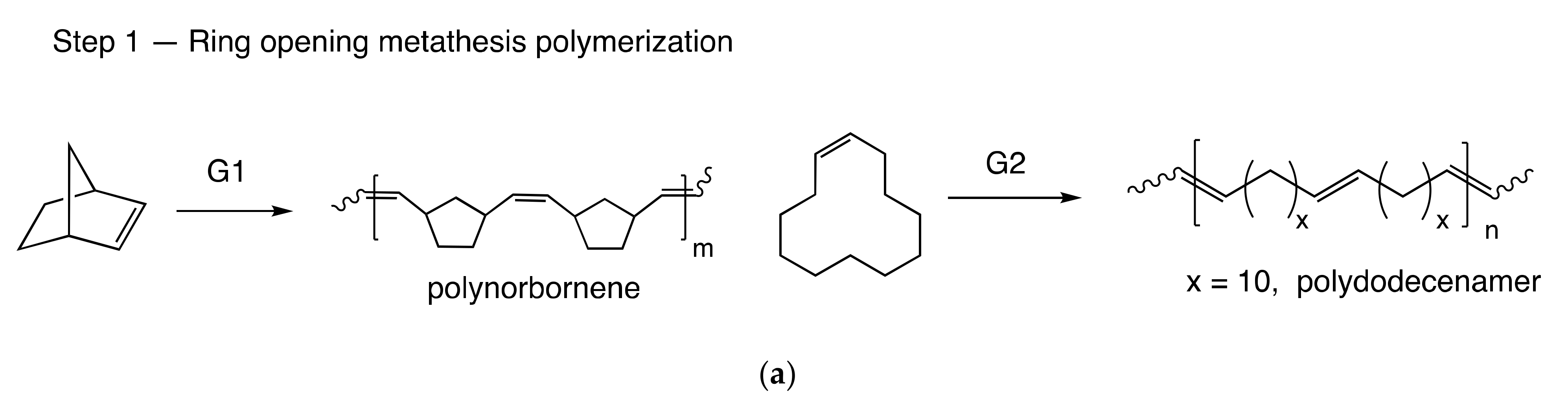 Polymers 13 01756 sch001a
