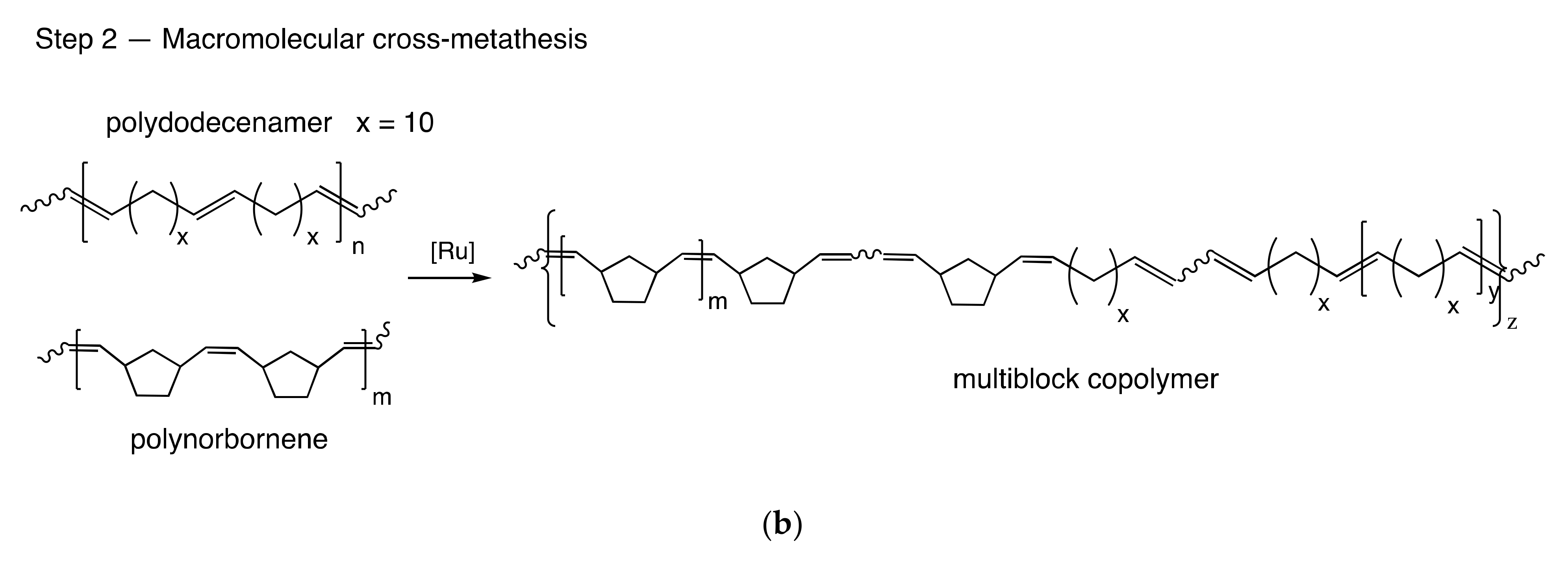 Polymers 13 01756 sch001b