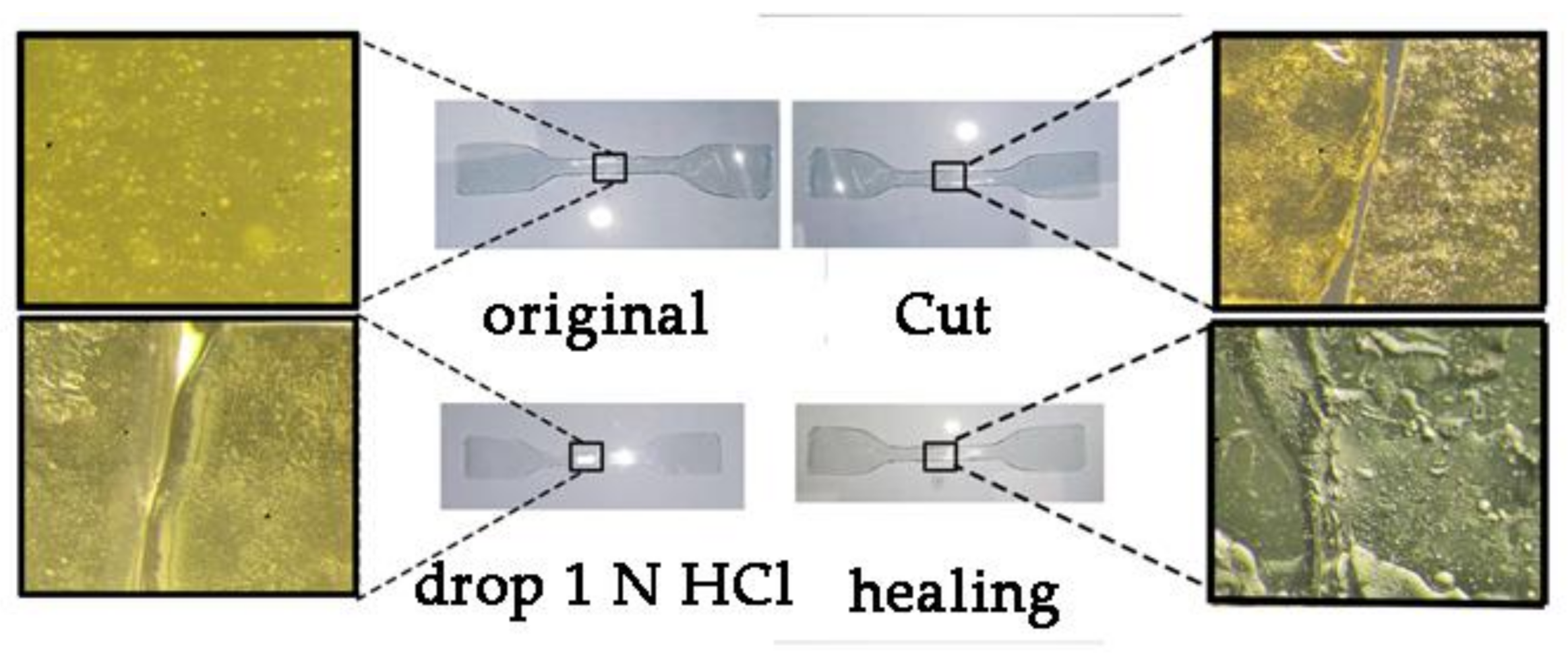 Polymers 13 01760 g009 Polymers 13 01760 g009