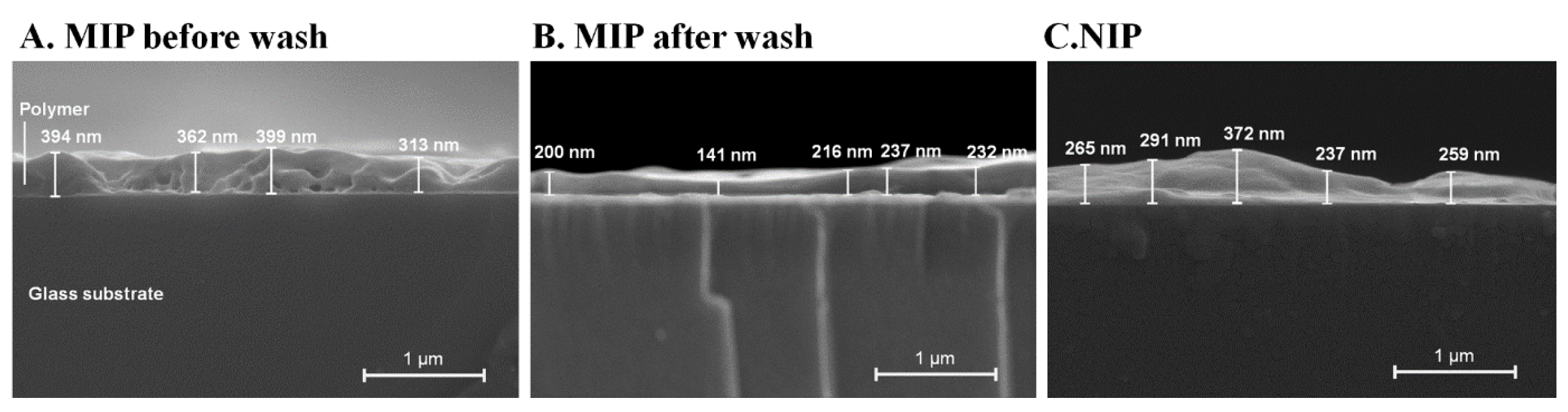Polymers 13 01763 g008
