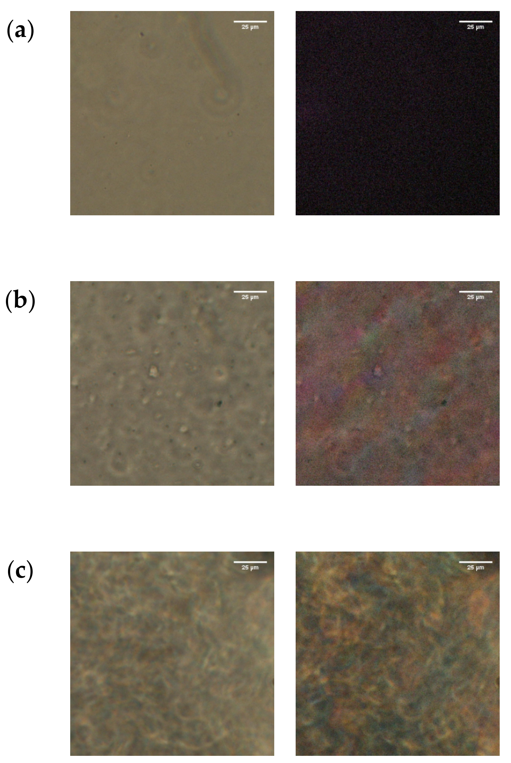 Polymers 13 01772 g004 Polymers 13 01772 g004