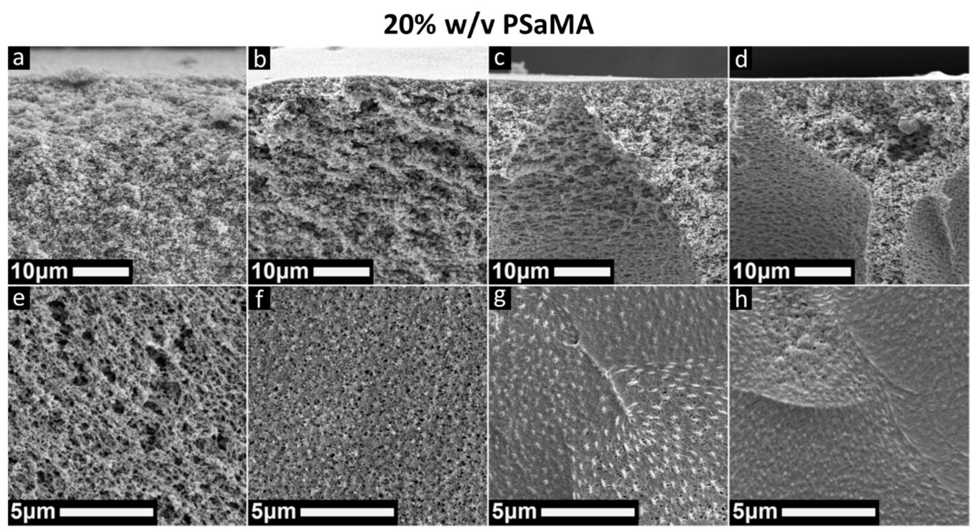 Polymers 13 01775 g001 Polymers 13 01775 g001