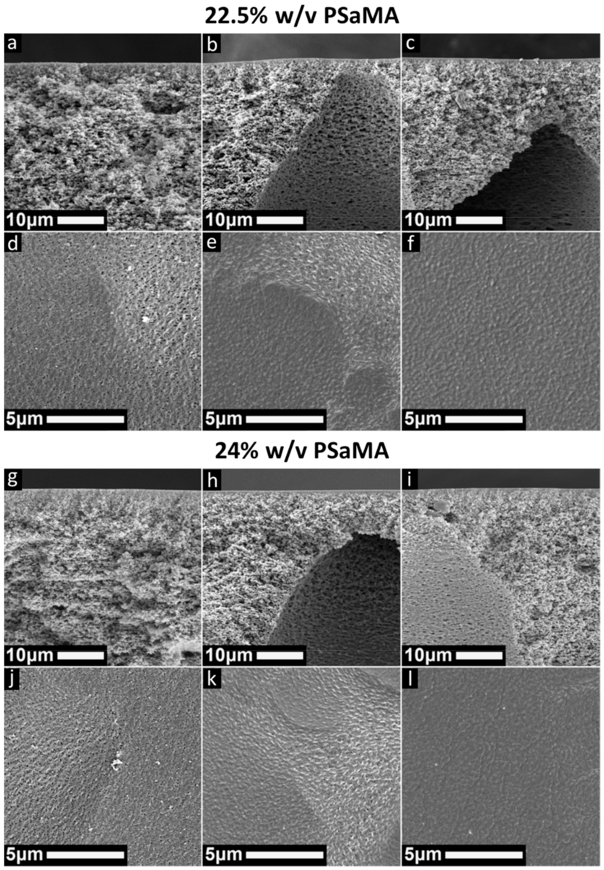 Polymers 13 01775 g003 Polymers 13 01775 g003