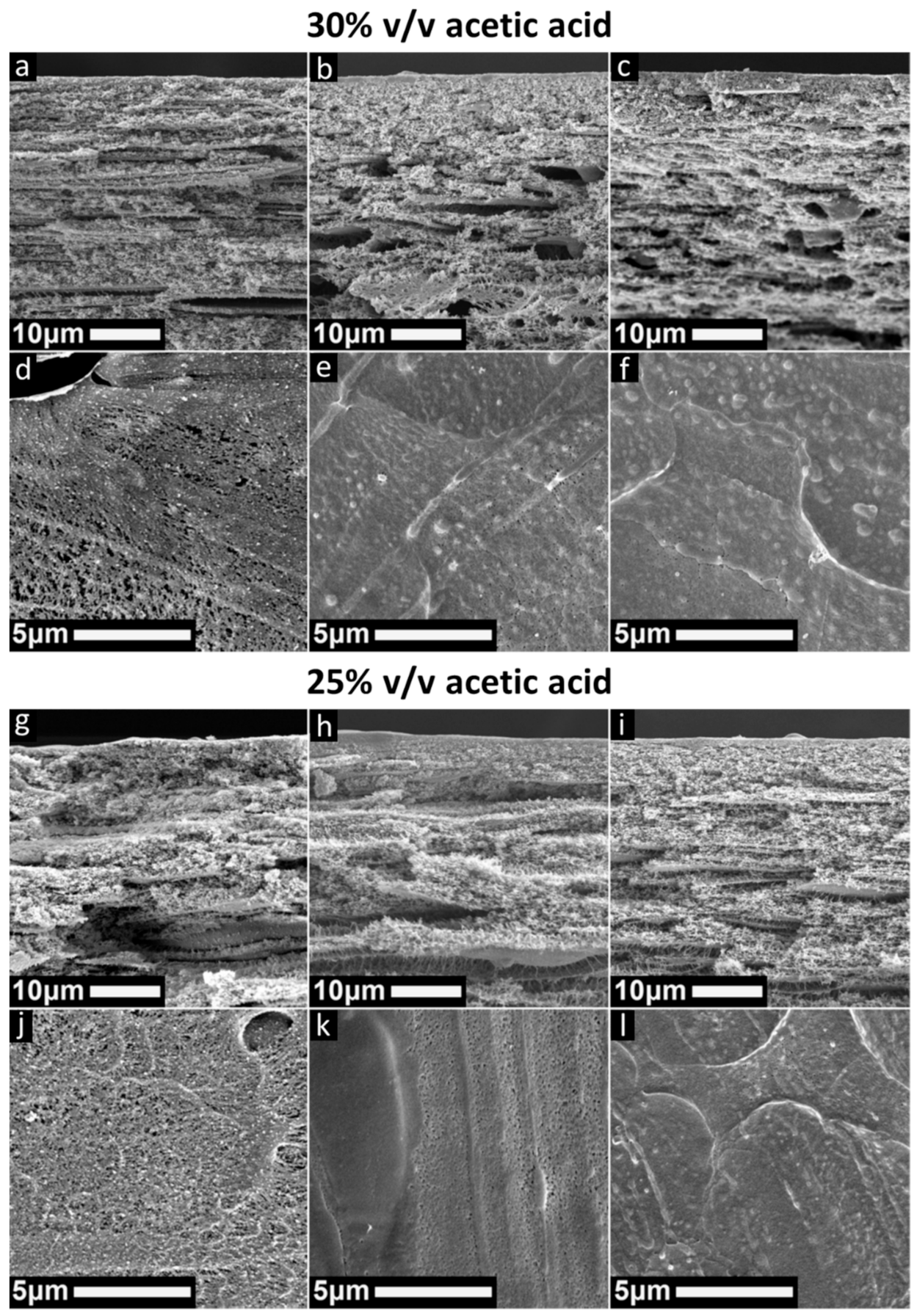 Polymers 13 01775 g007 Polymers 13 01775 g007