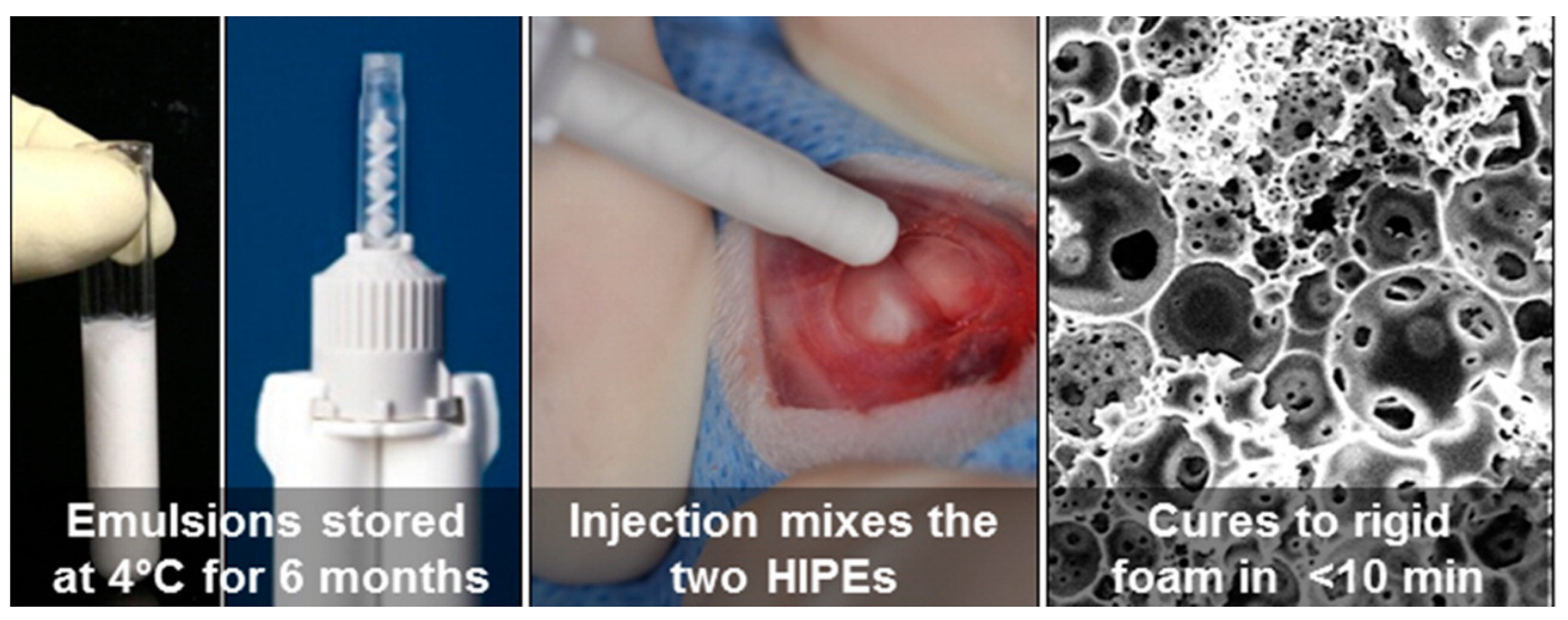 Polymers 13 01786 g006