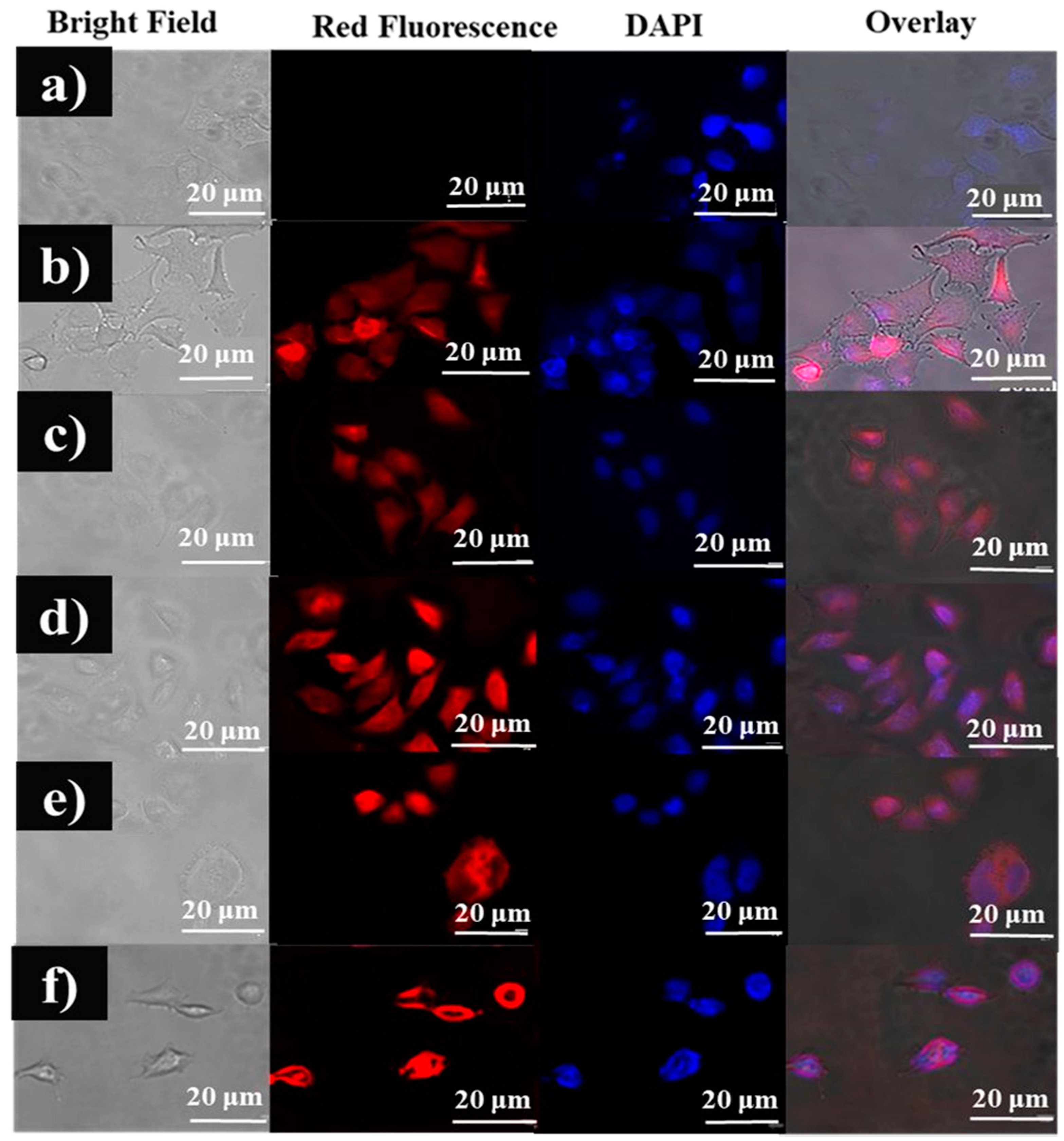 Polymers 13 01795 g008