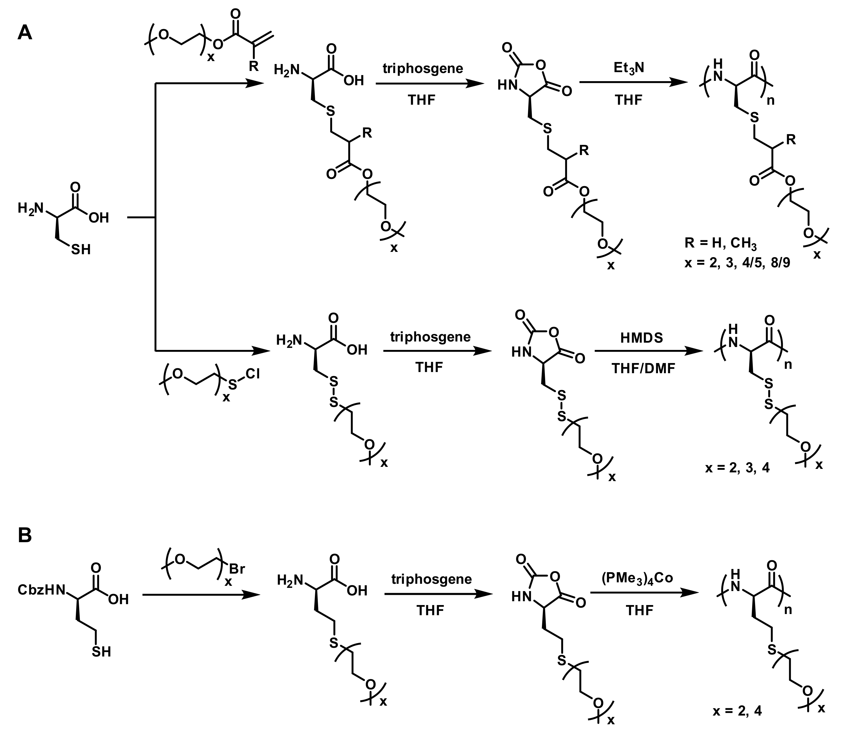 Polymers 13 01813 g006
