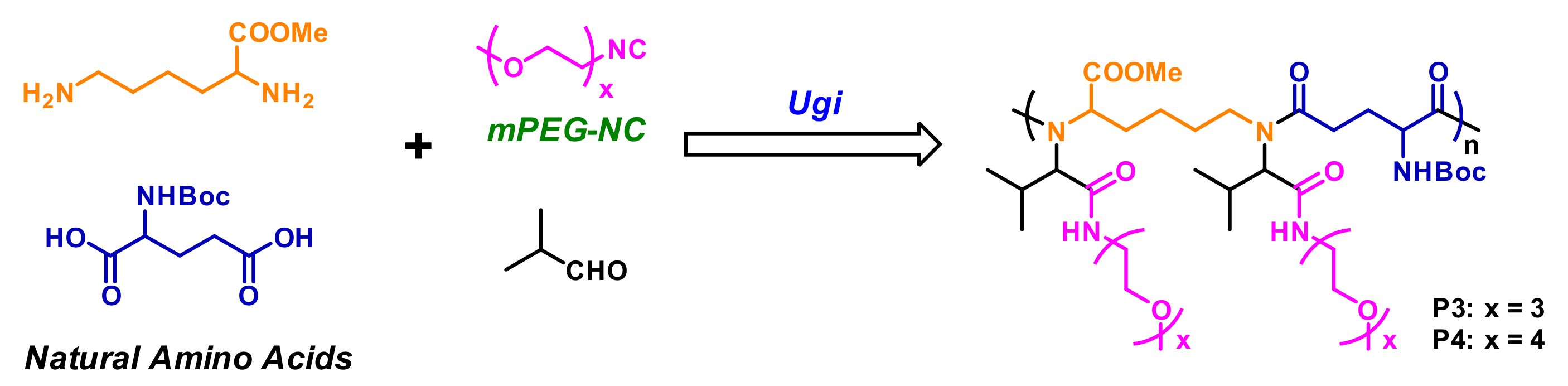Polymers 13 01813 g017