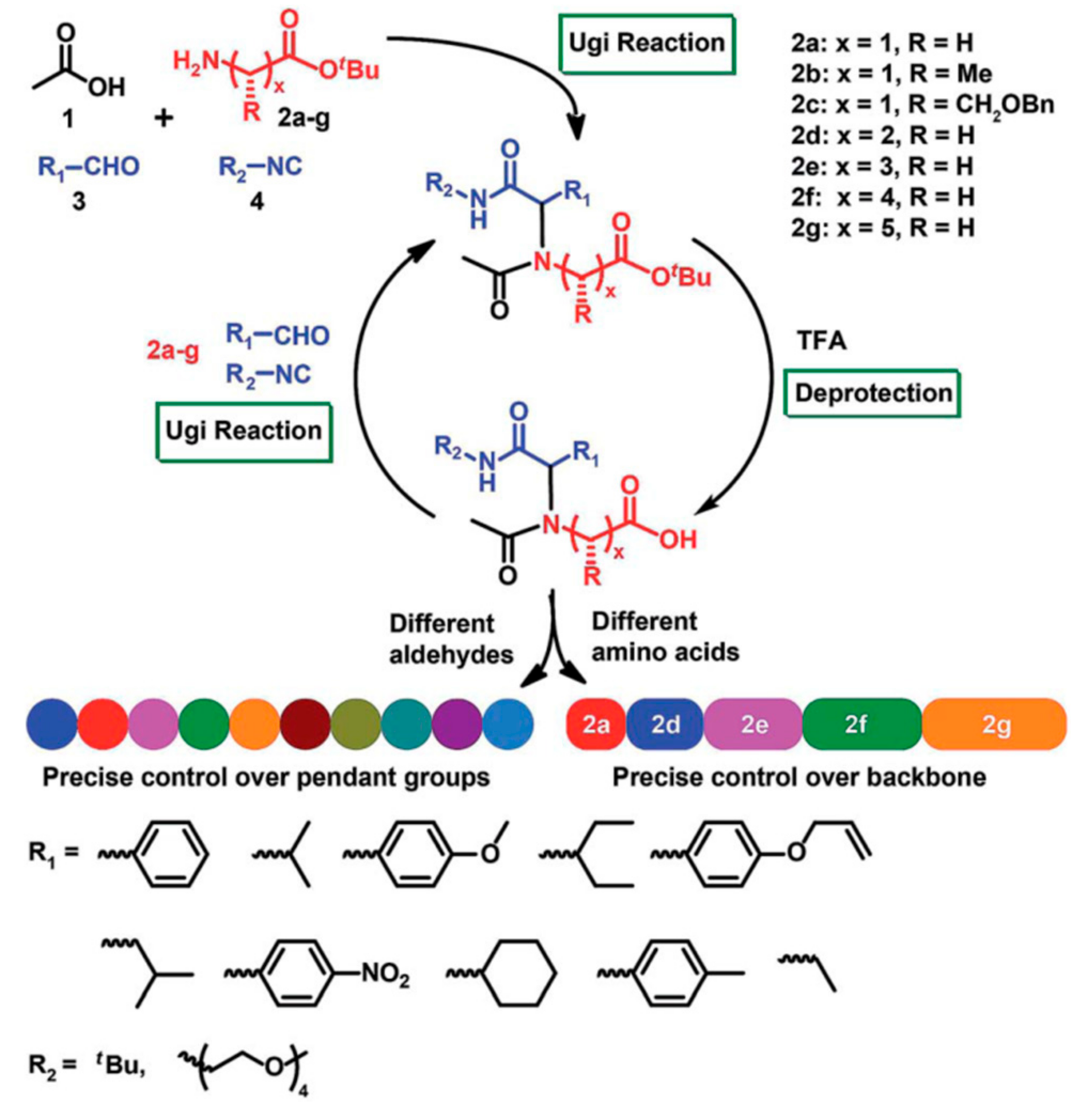 Polymers 13 01813 g019