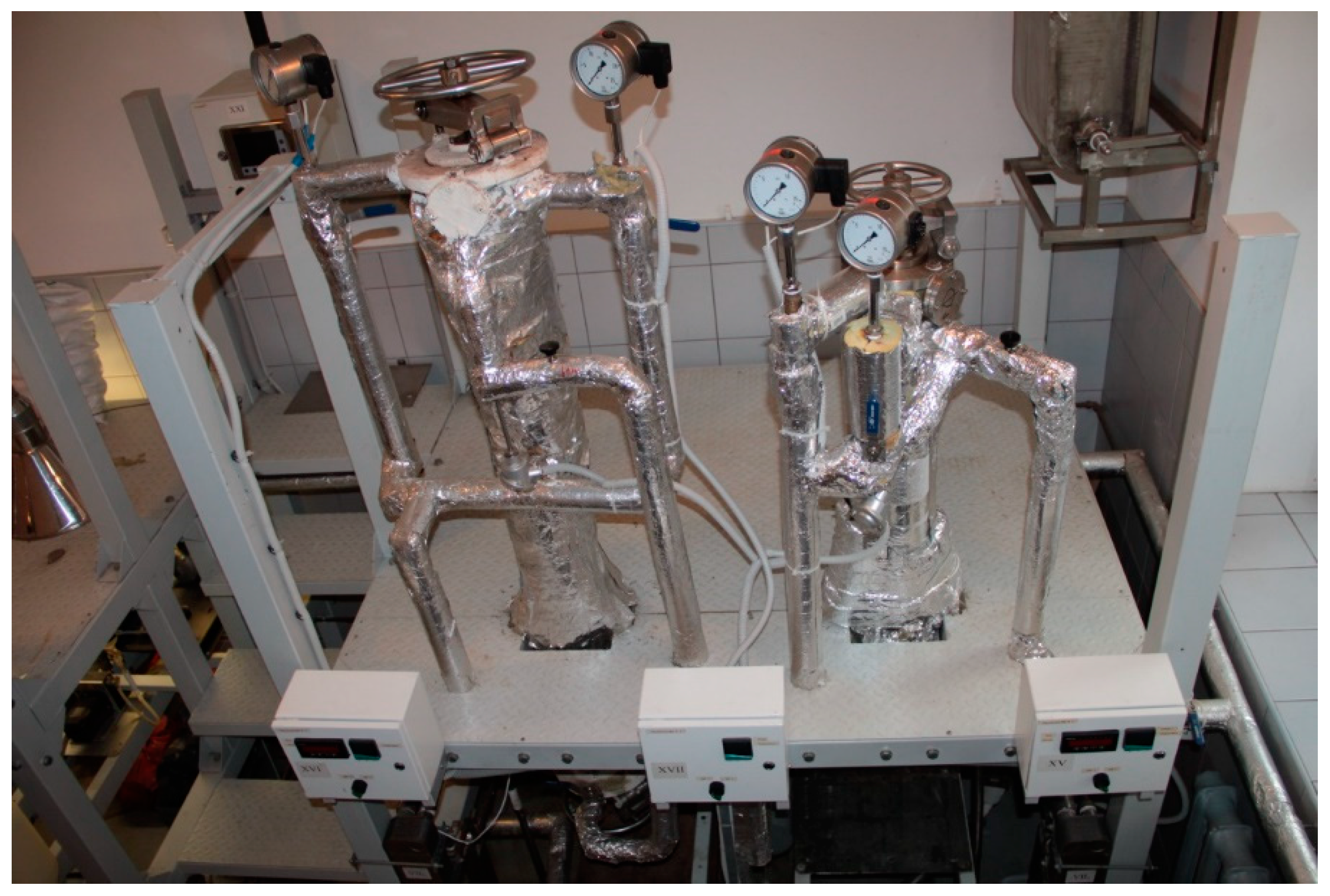 Polymers 13 01816 g002