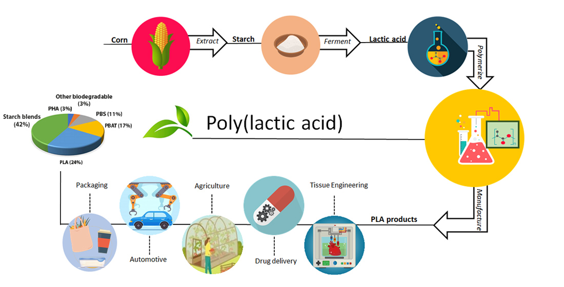 Polymers | Free Full-Text | Poly(lactic Acid): A Versatile Biobased Polymer  for the Future with Multifunctional Properties—From Monomer Synthesis,  Polymerization Techniques and Molecular Weight Increase to PLA Applications