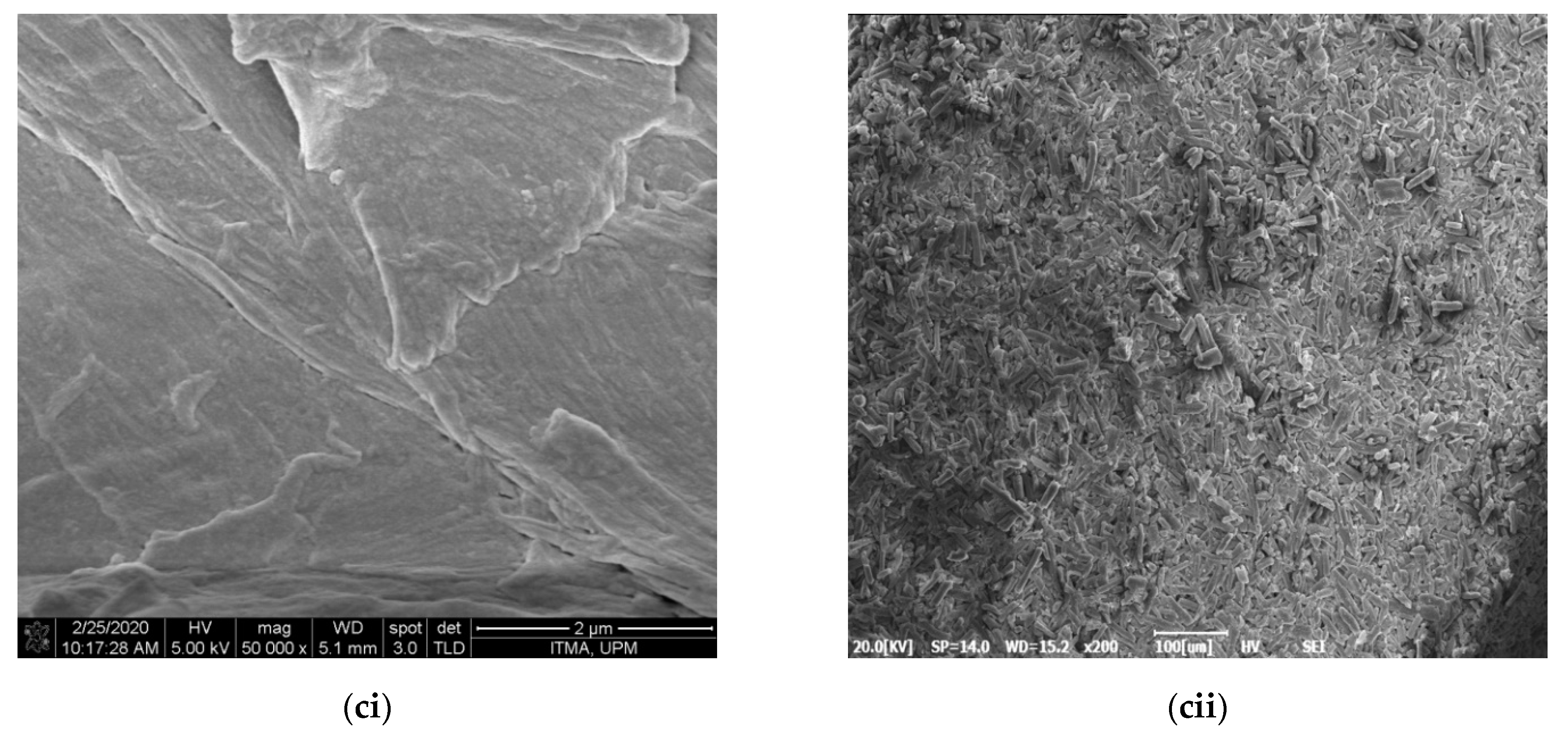 Polymers 13 01835 g001b