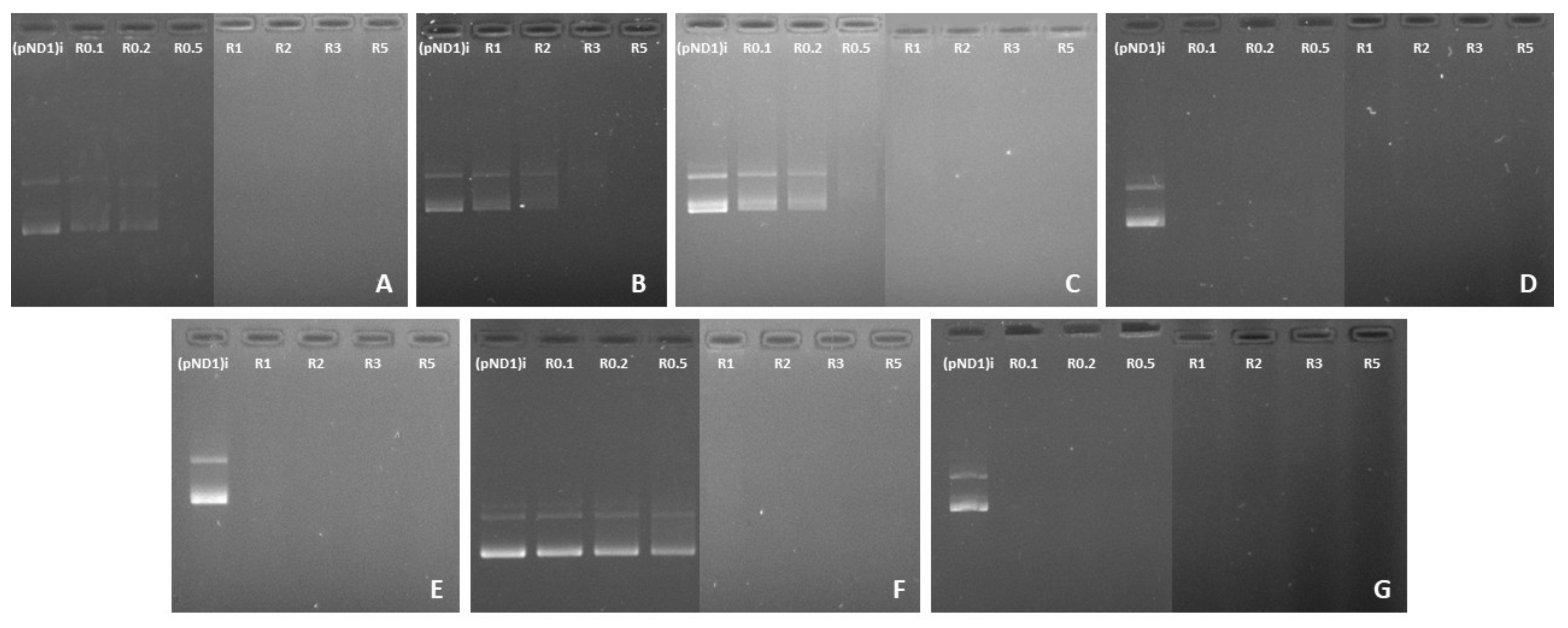 Polymers 13 01836 g001 Polymers 13 01836 g001