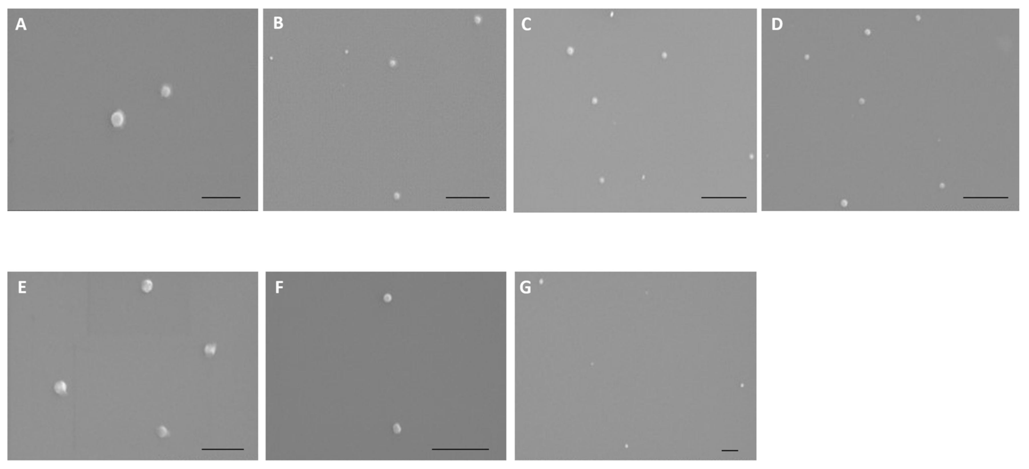Polymers 13 01836 g002 Polymers 13 01836 g002