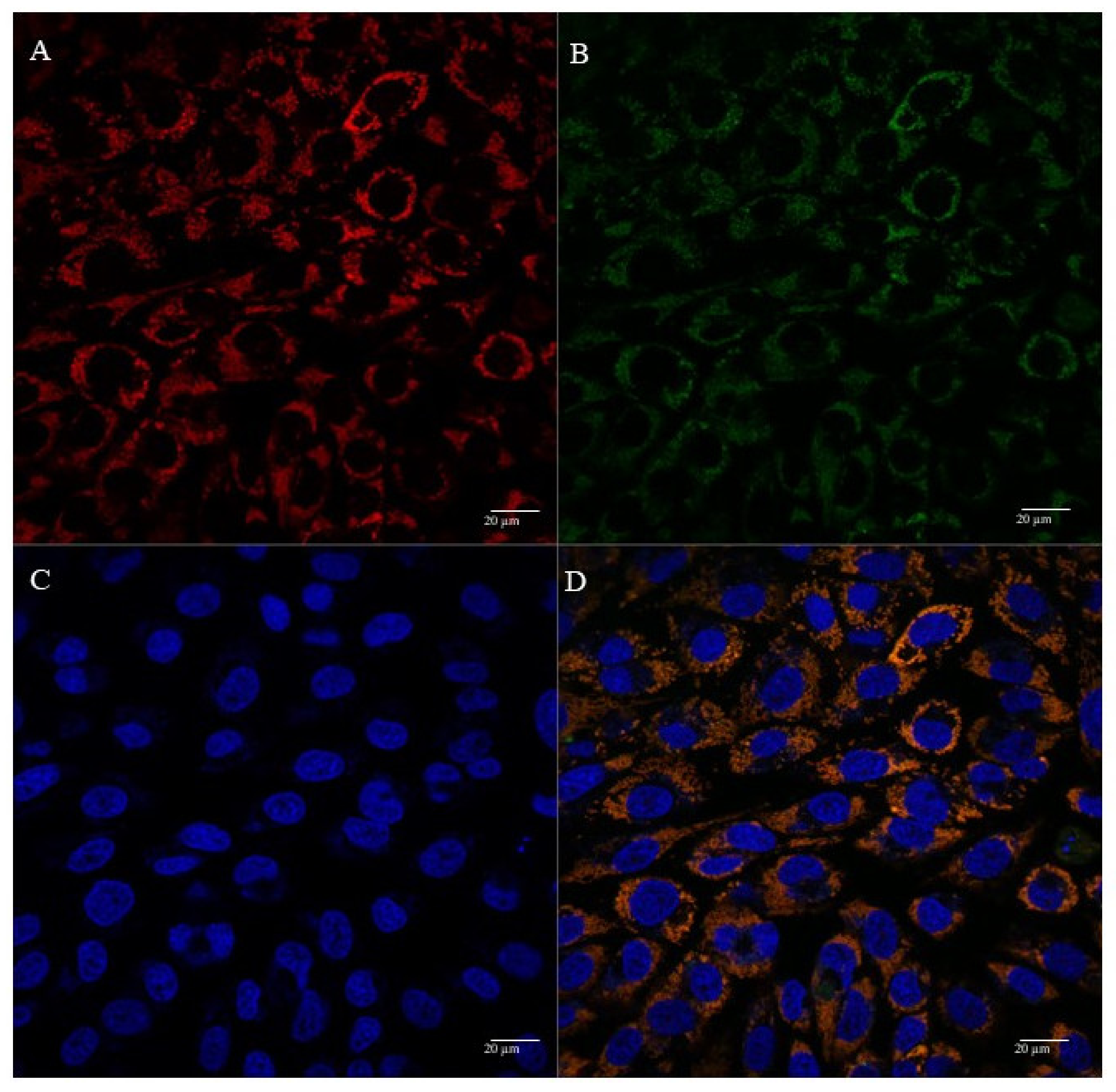 Polymers 13 01836 g007 Polymers 13 01836 g007
