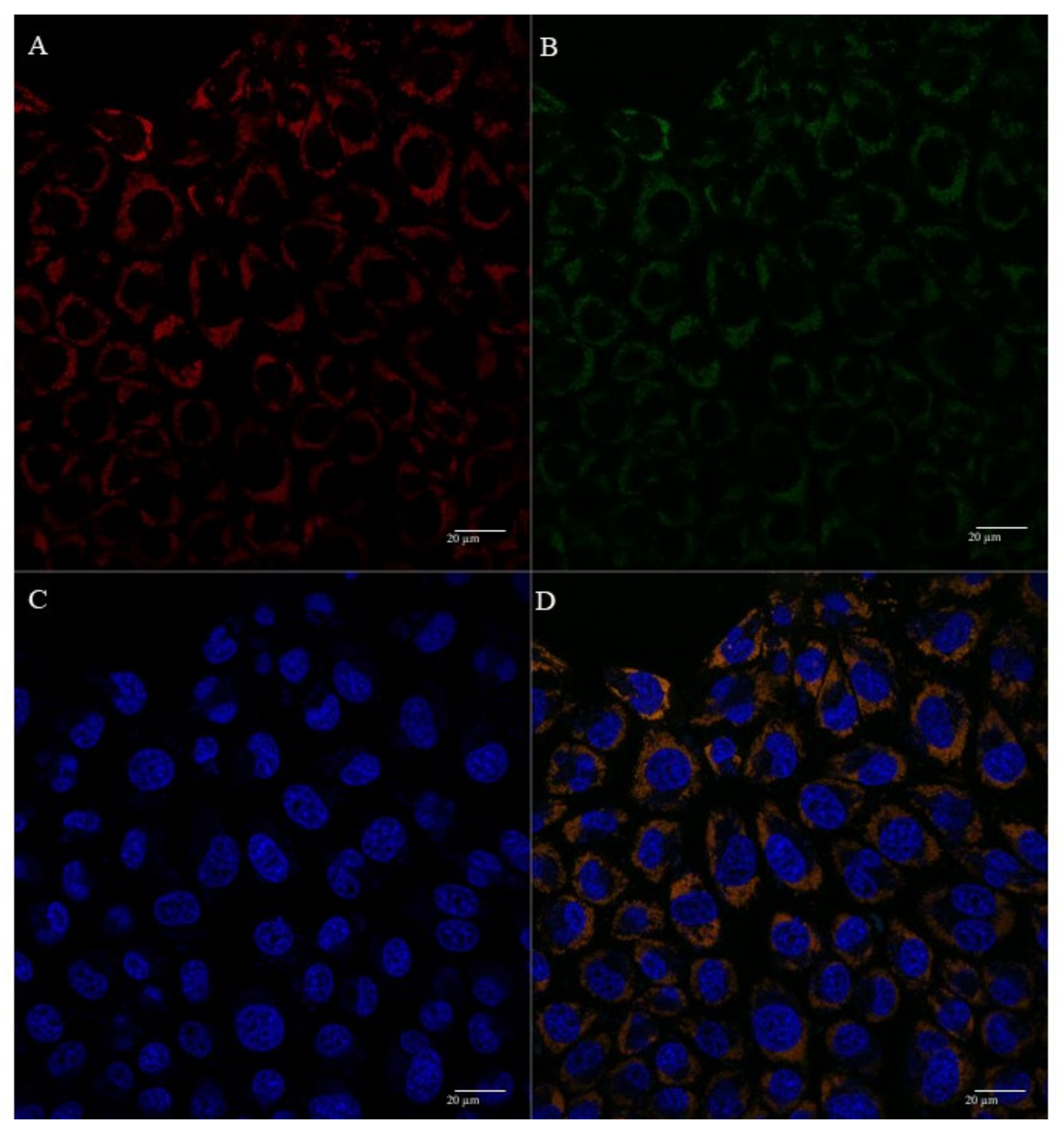 Polymers 13 01836 g009 Polymers 13 01836 g009