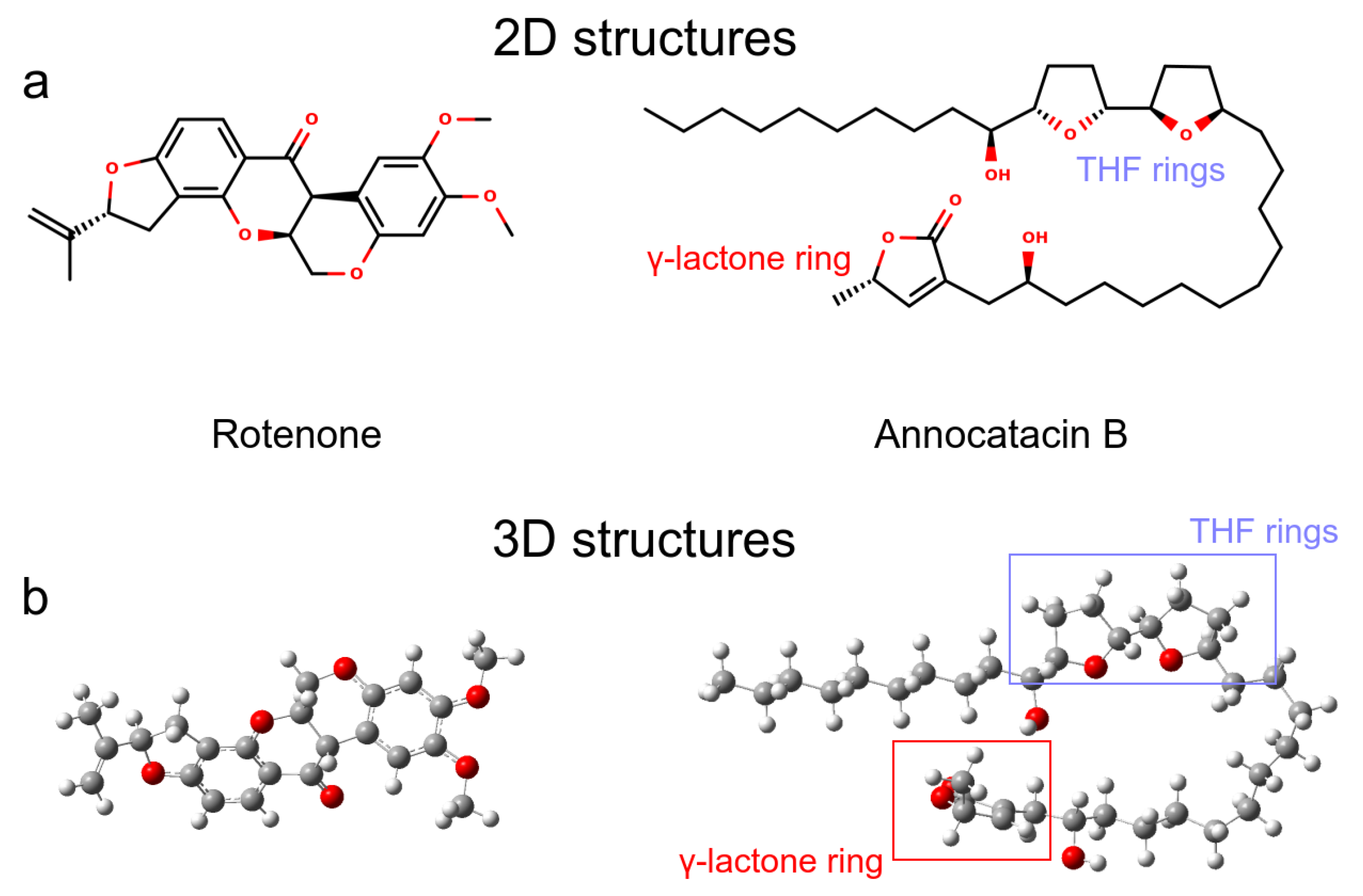 Polymers 13 01840 g001