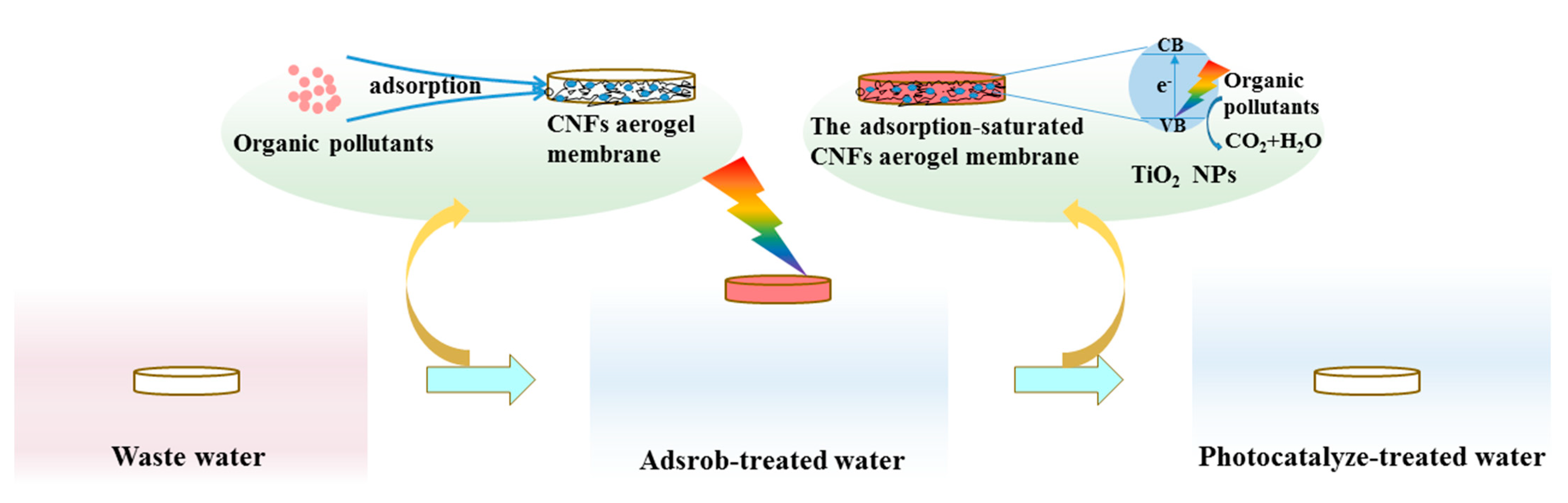 Polymers 13 01841 g012