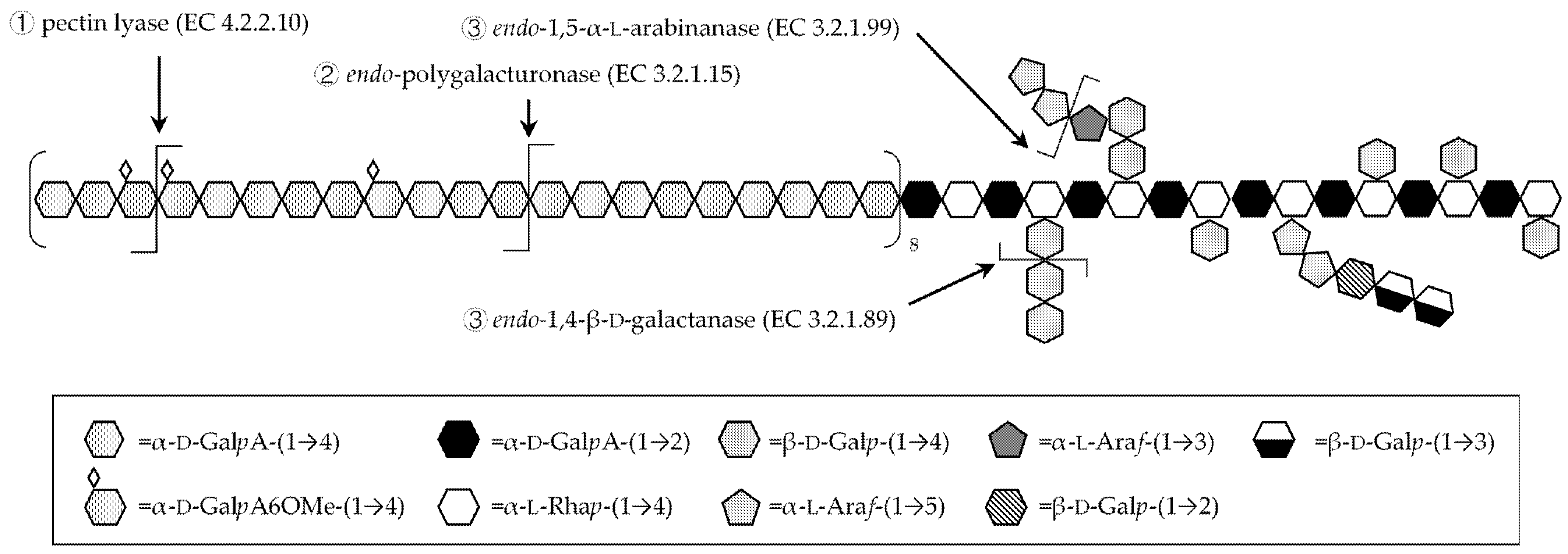 Polymers 13 01842 g001 Polymers 13 01842 g001