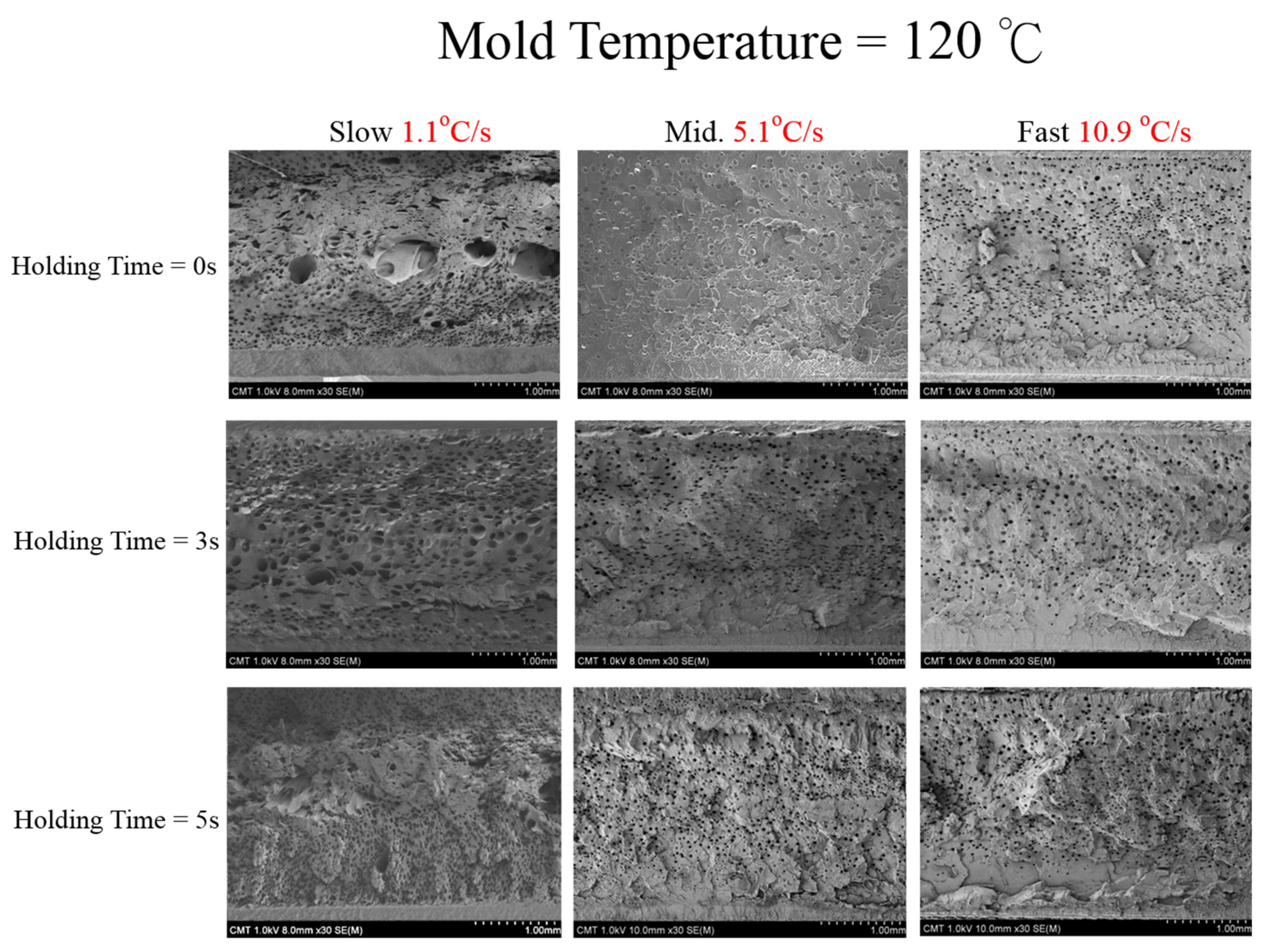 Polymers 13 01843 g009