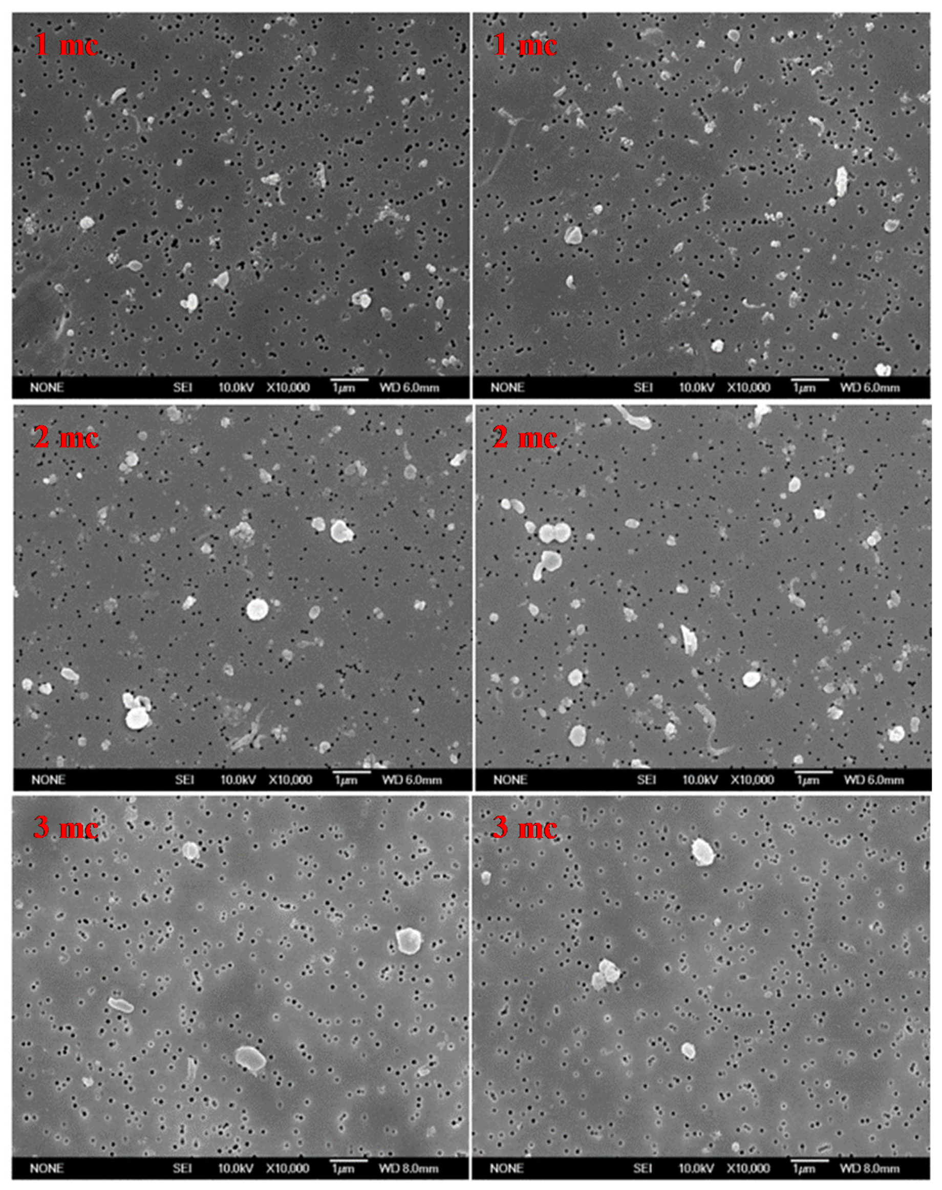 Polymers 13 01847 g002 Polymers 13 01847 g002