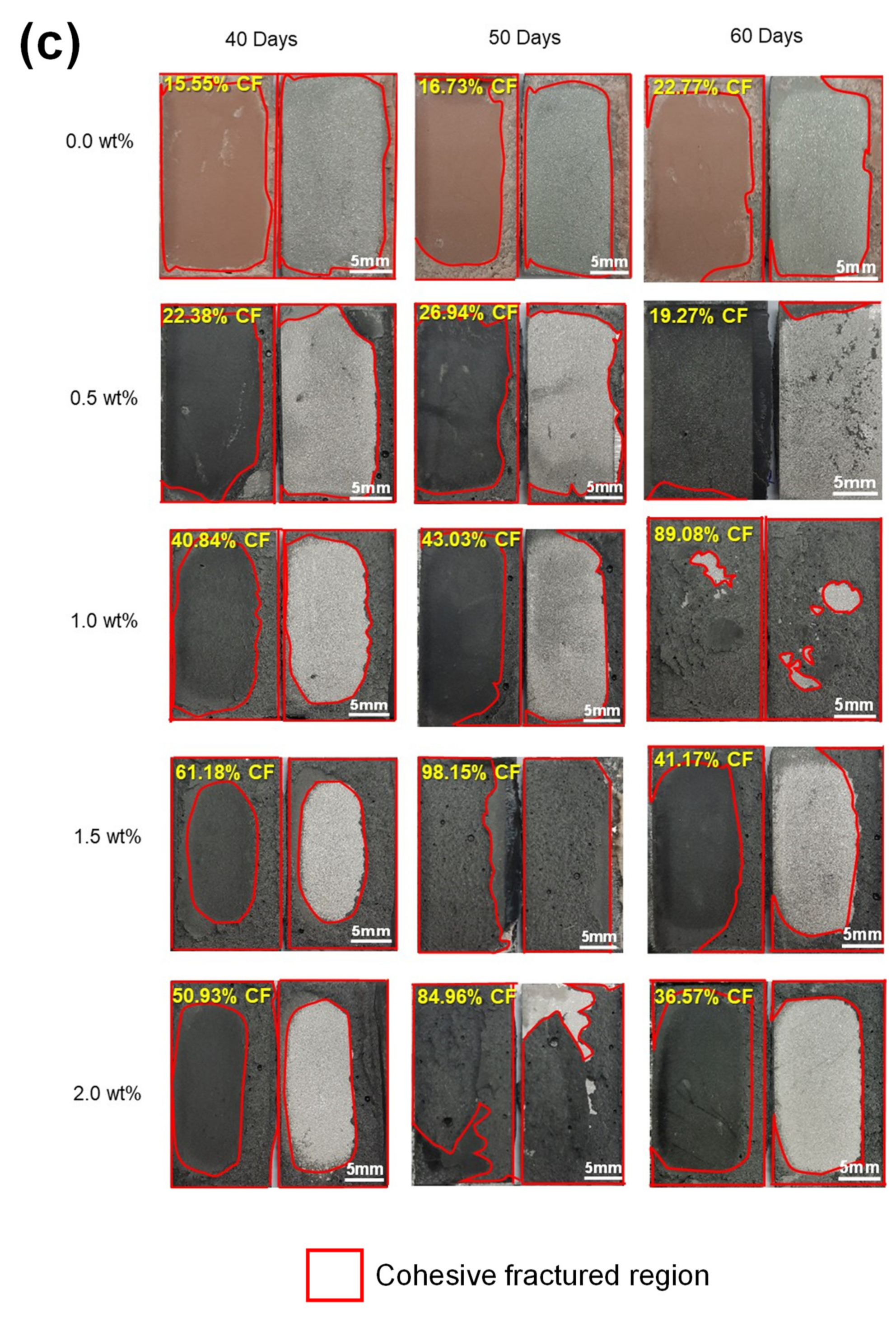Polymers 13 01850 g008c Polymers 13 01850 g008c