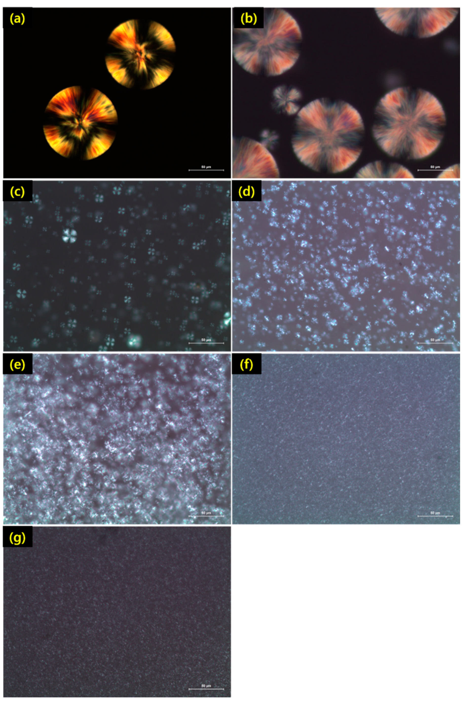 Polymers 13 01851 g005 Polymers 13 01851 g005