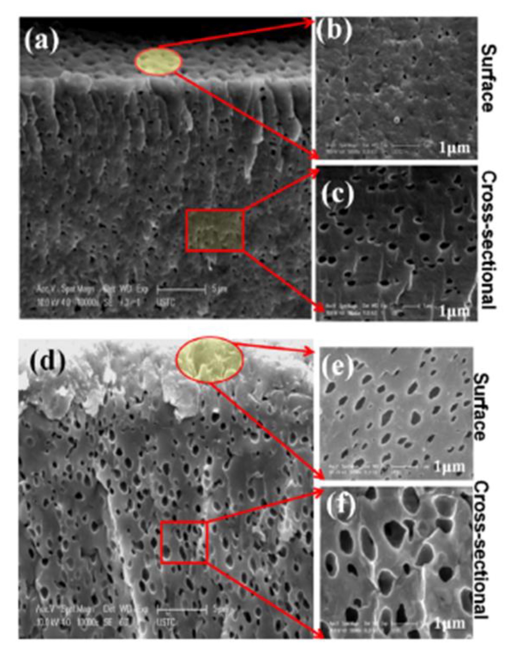 Polymers 13 01874 g002