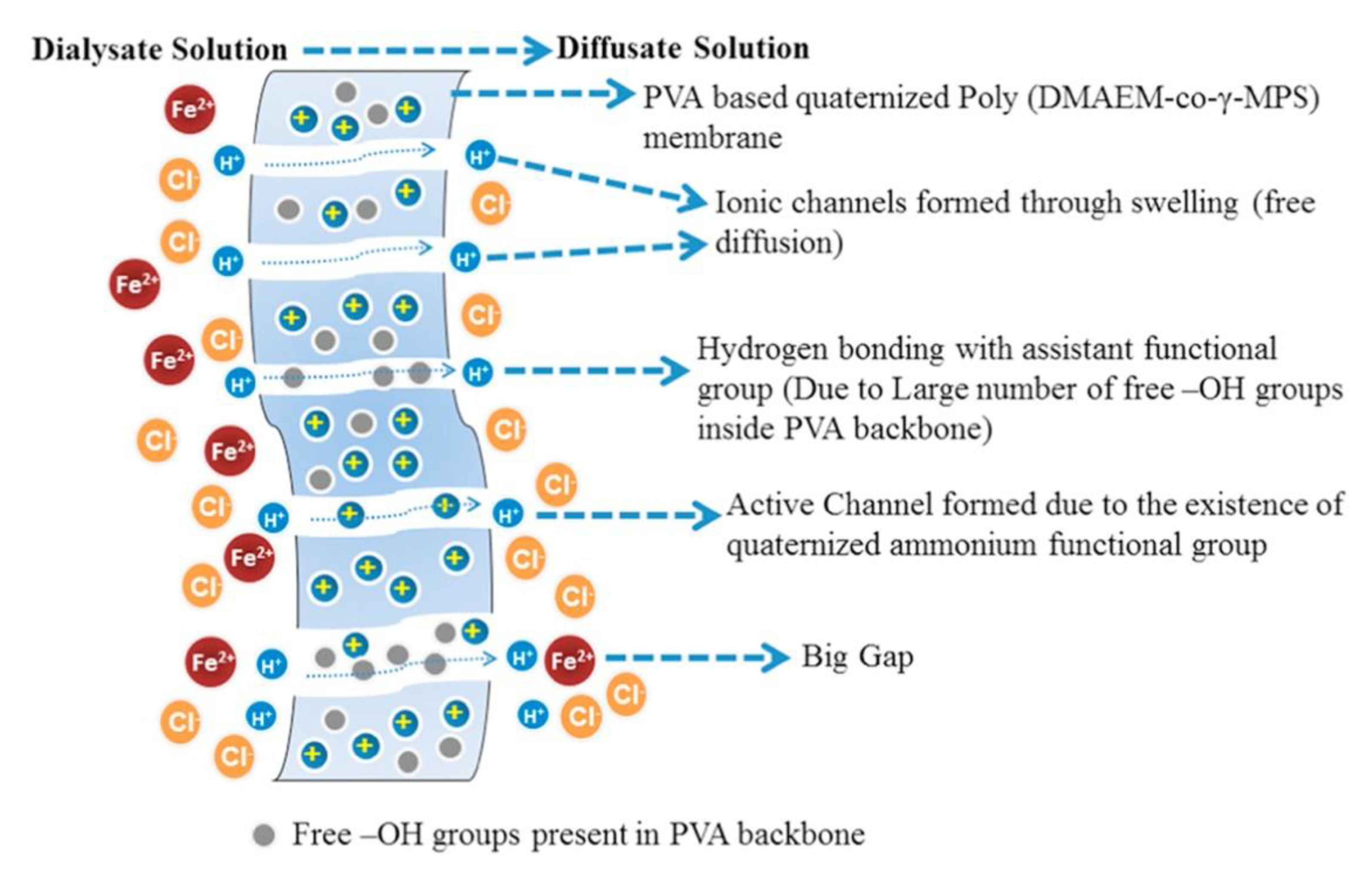 Polymers 13 01874 g004