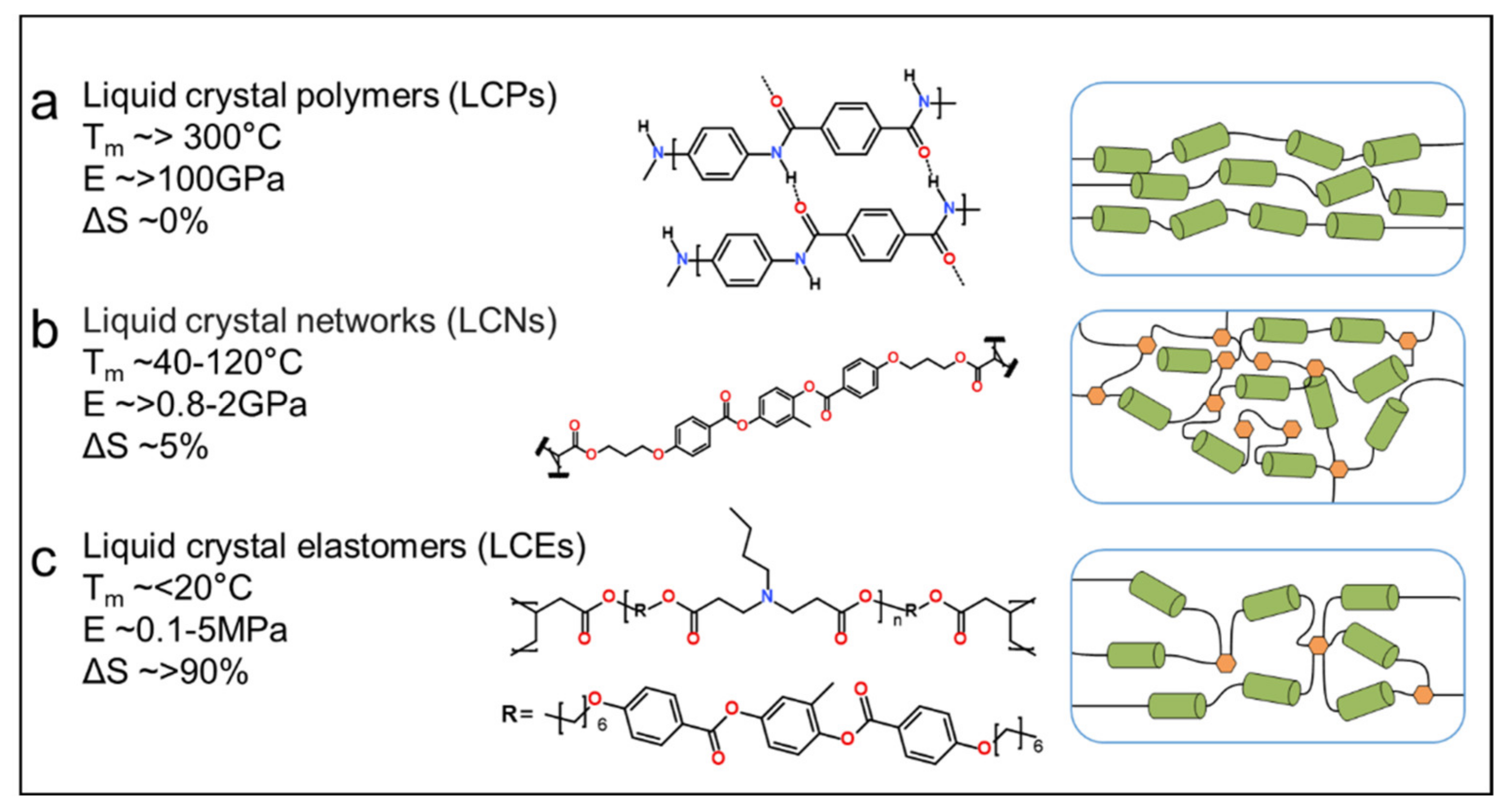 Polymers 13 01889 g002