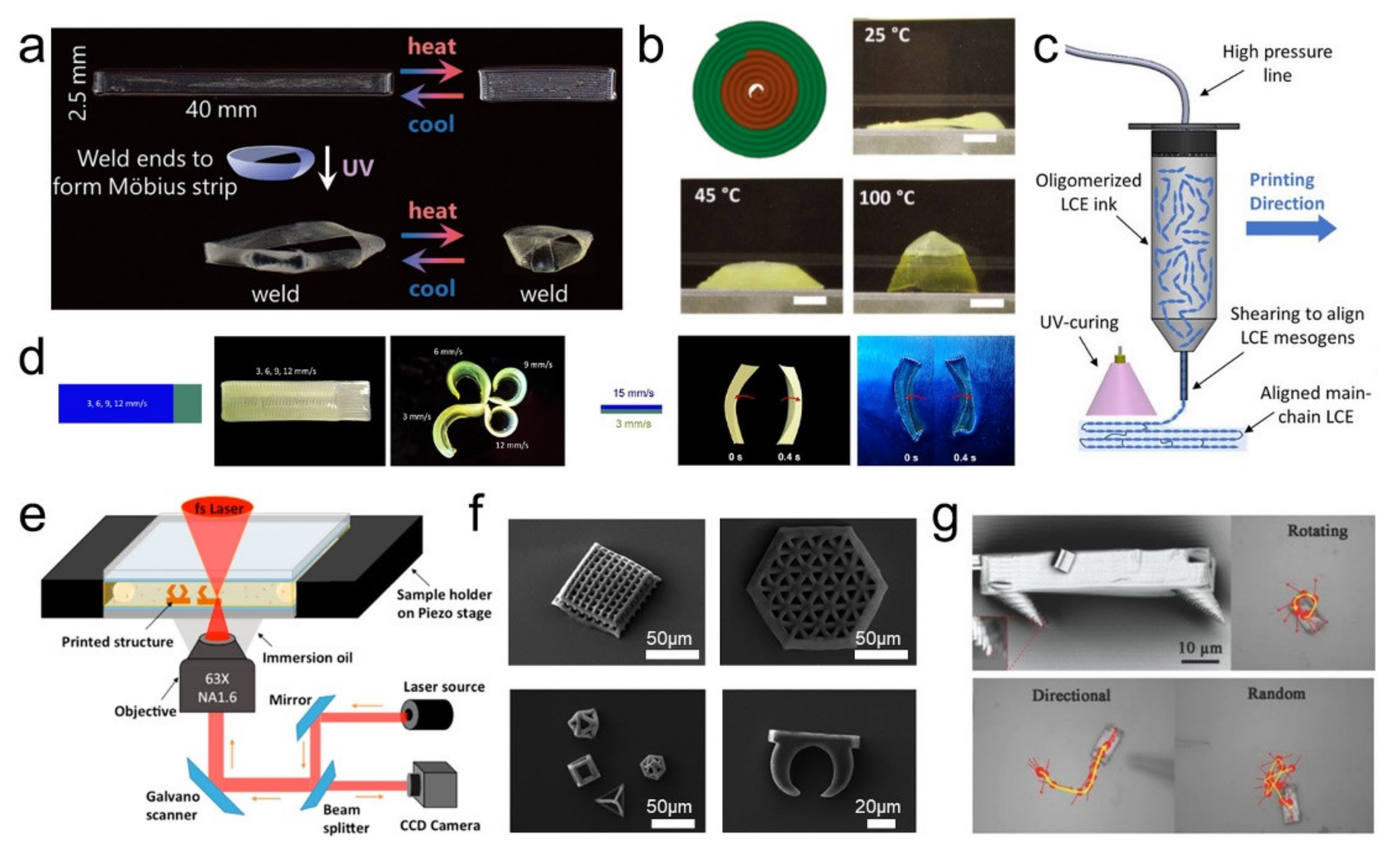 Polymers 13 01889 g003
