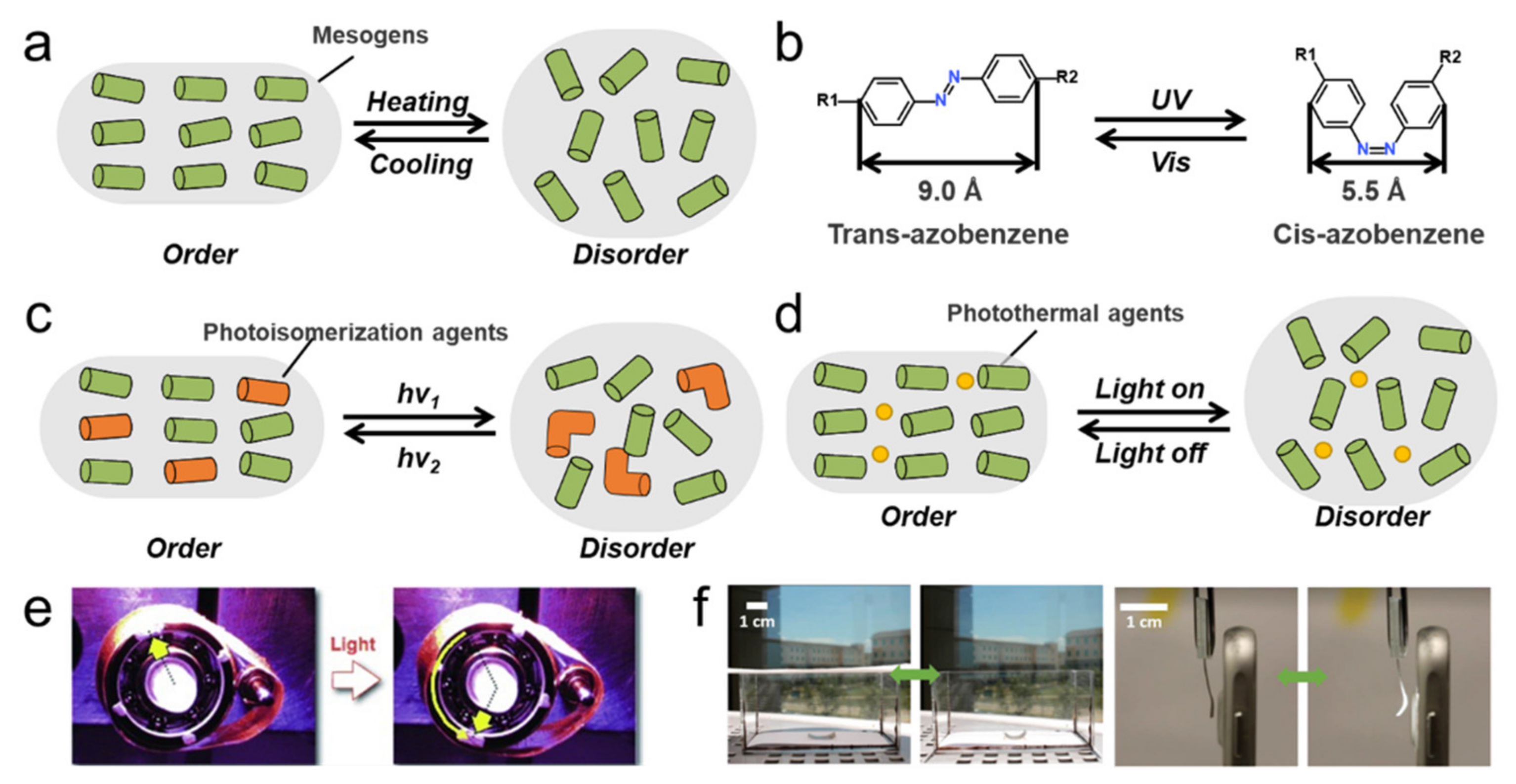 Polymers 13 01889 g004