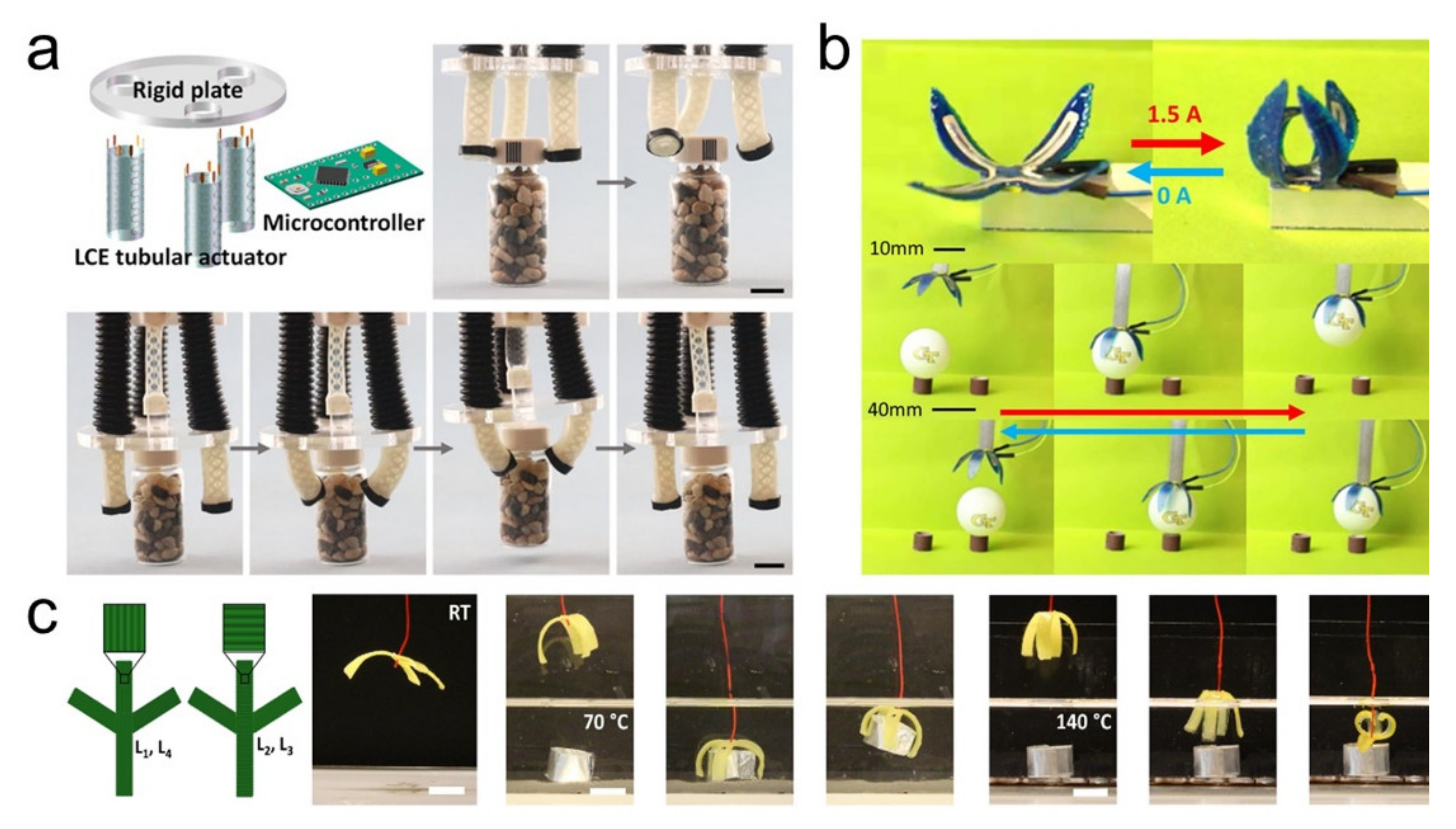 Polymers 13 01889 g005