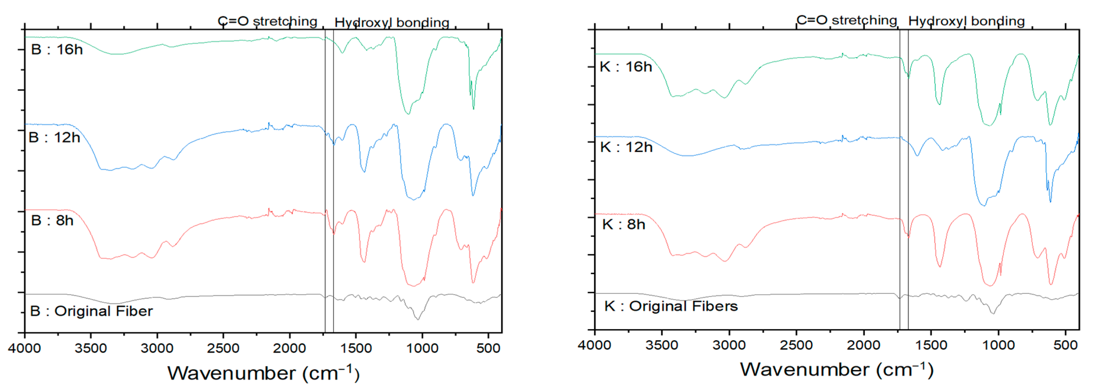 Polymers 13 01894 g004 Polymers 13 01894 g004