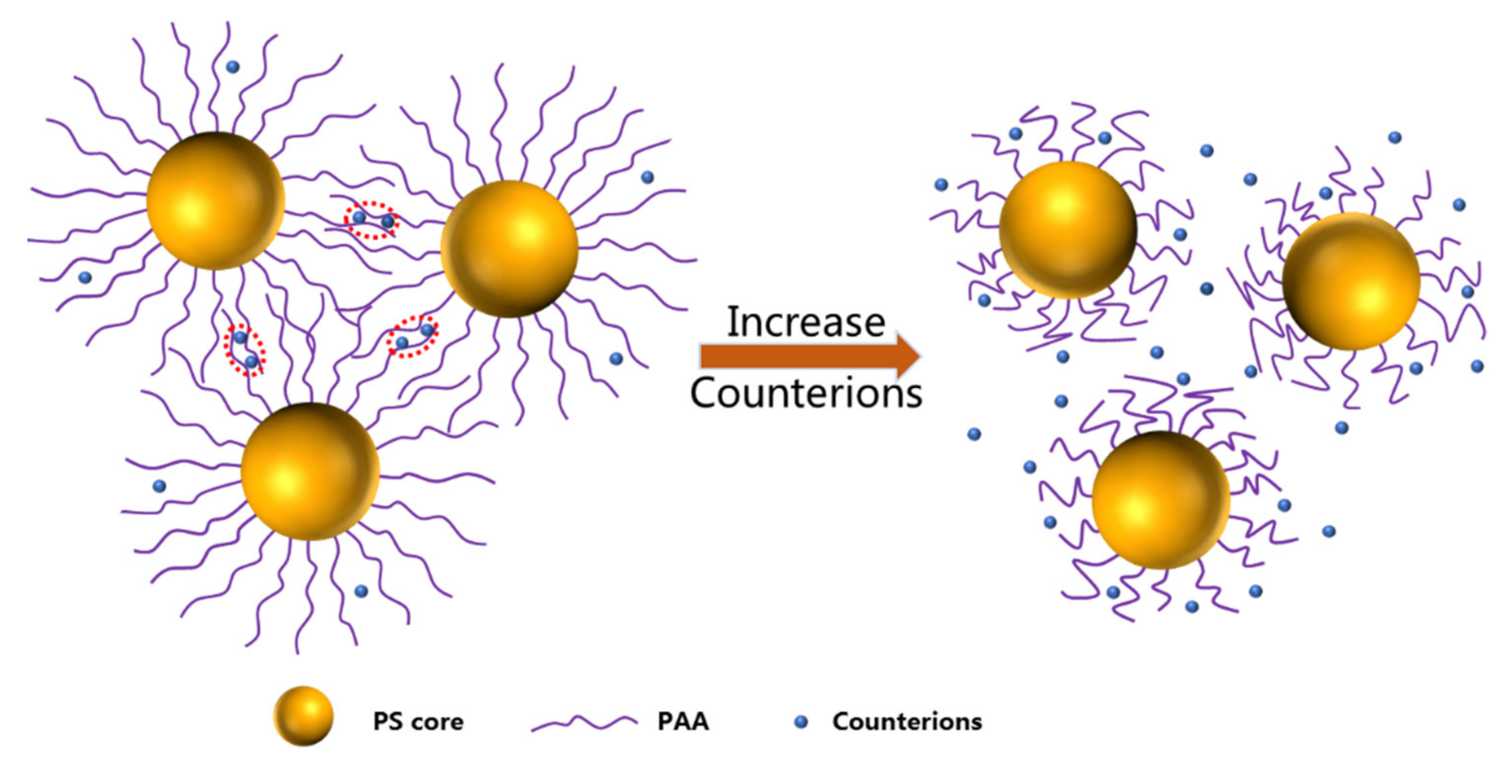 Polymers 13 01911 g001
