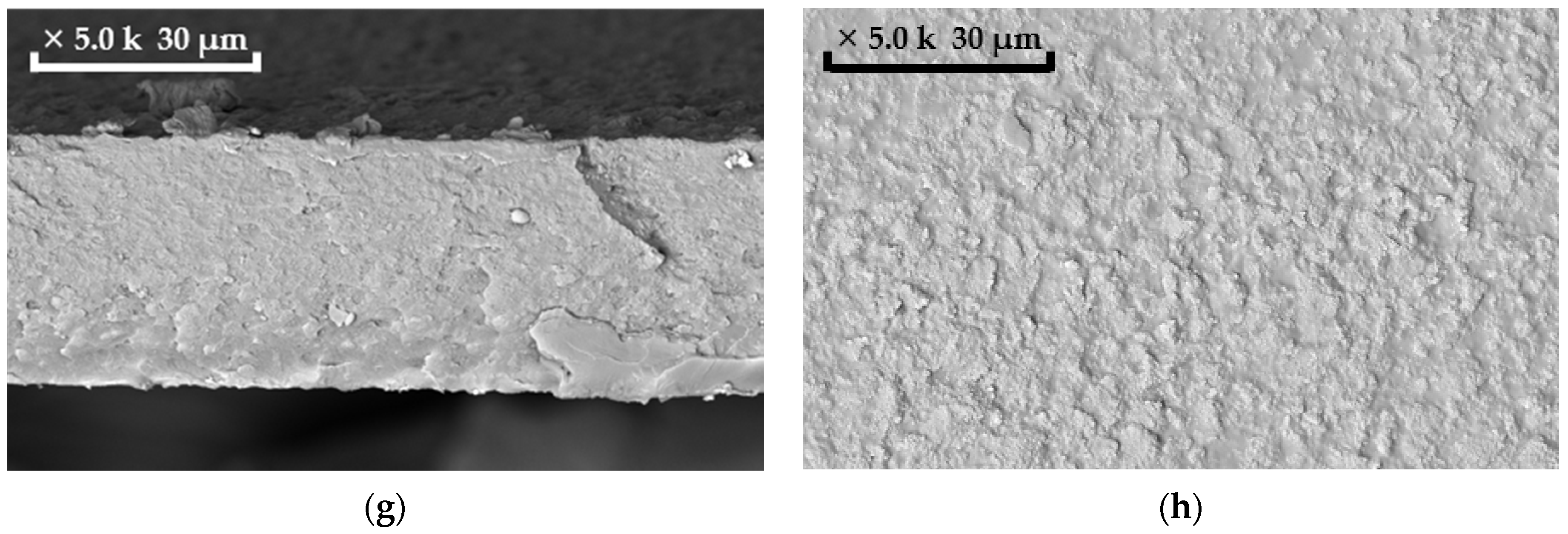 Polymers 13 01922 g002b