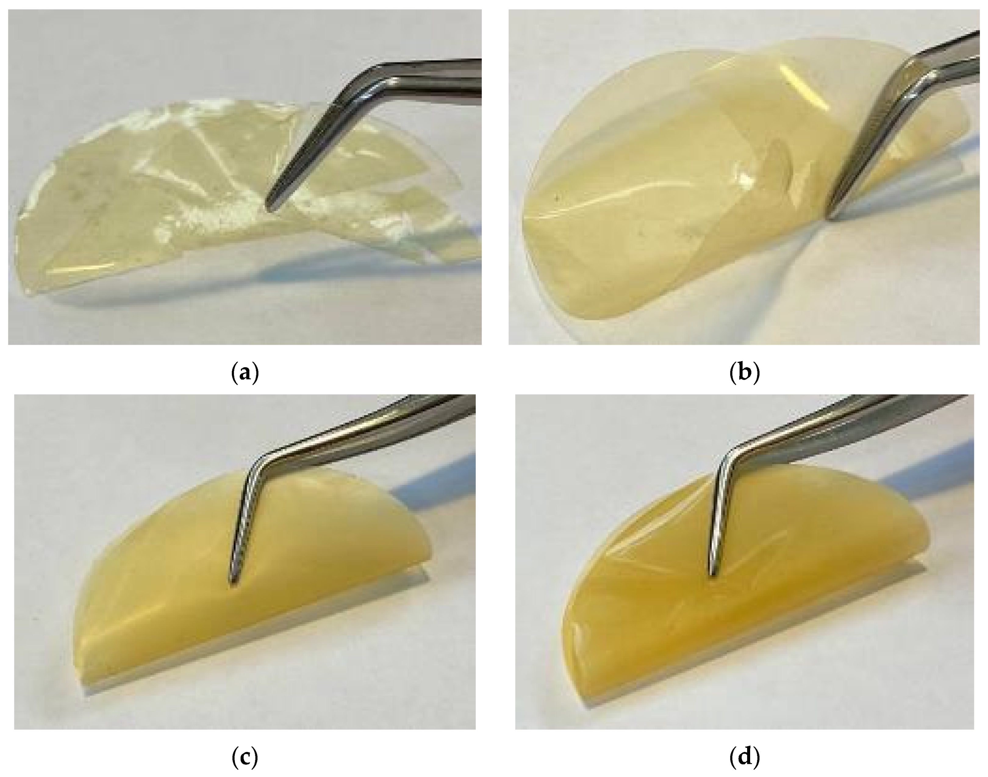 Polymers 13 01922 g004