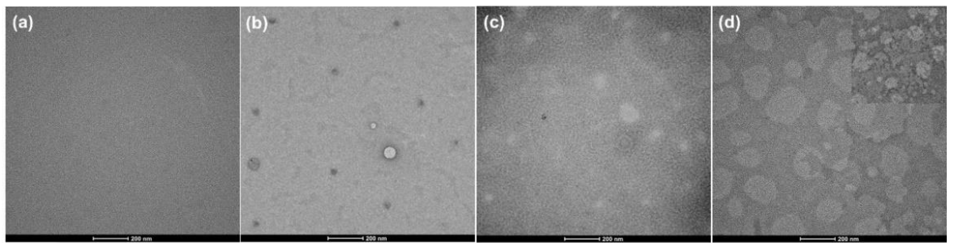Polymers 13 01927 g005