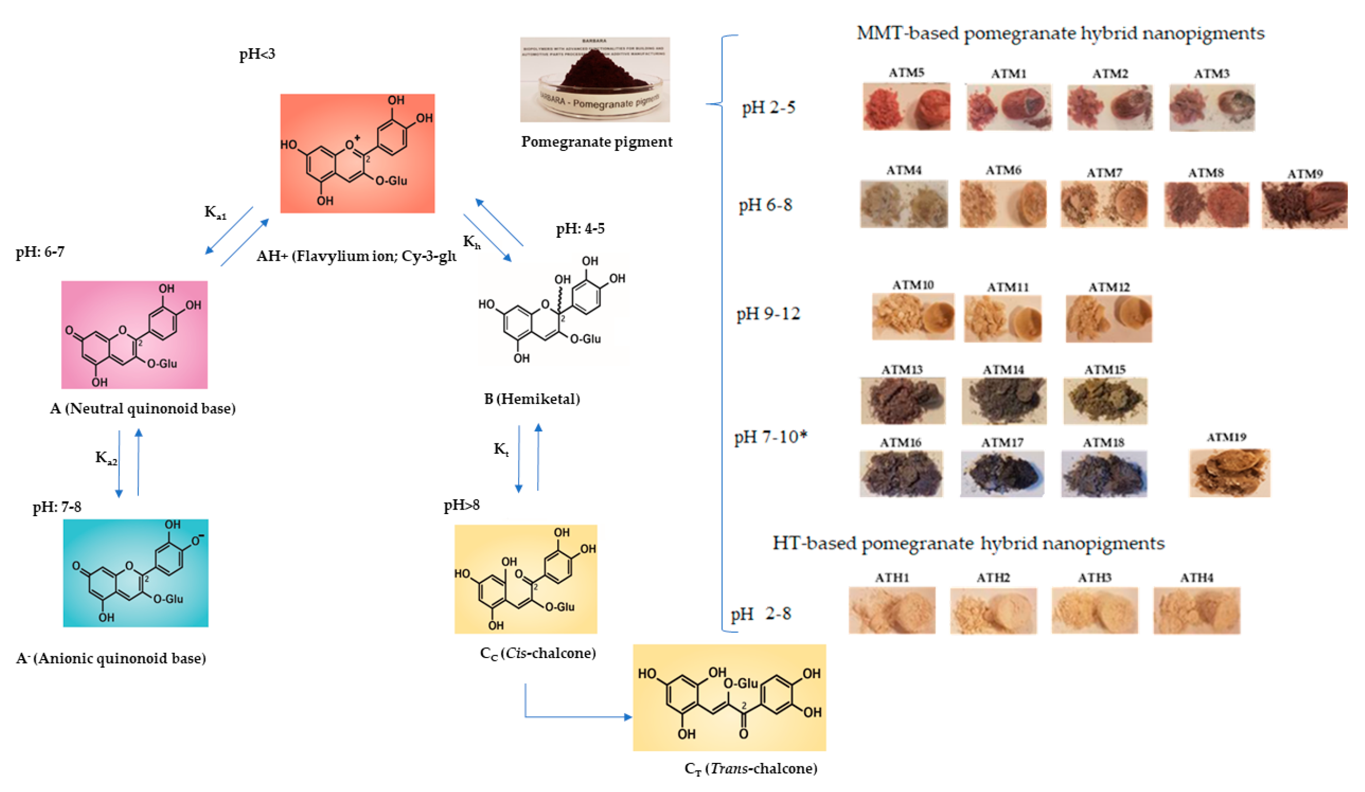 Polymers Free Full Text Anthocyanin Hybrid Nanopigments From Pomegranate Waste Colour Thermomechanical Stability And Environmental Impact Of Polyester Based Bionanocomposites Html