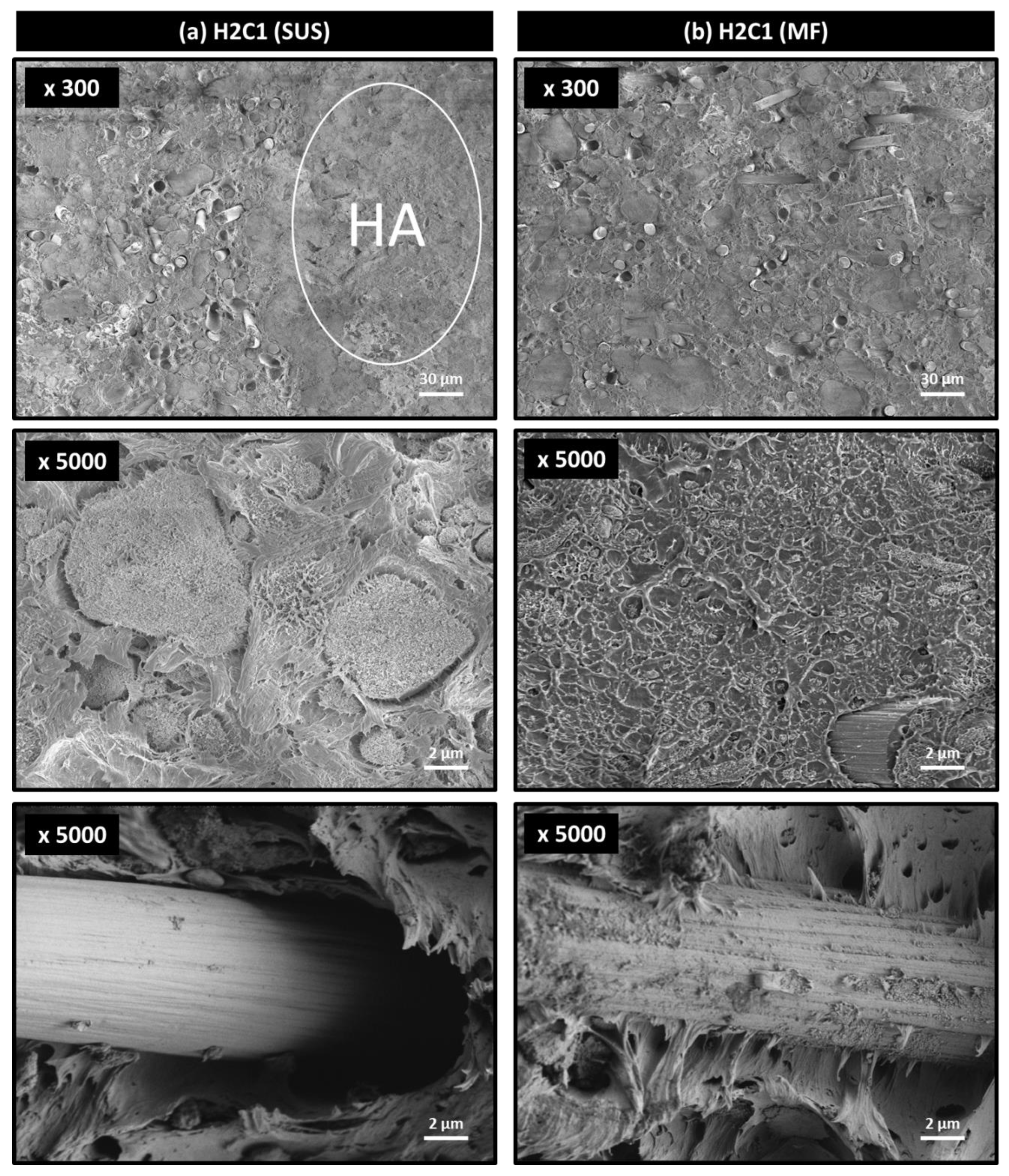 Polymers 13 01978 g004