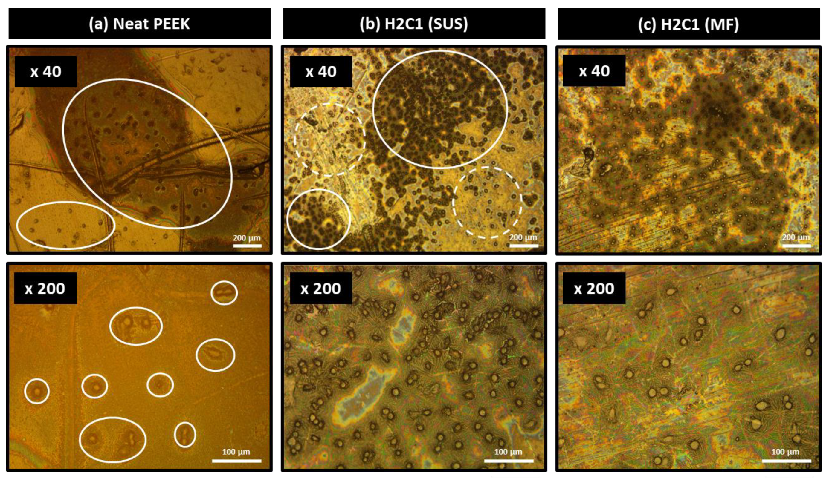Polymers 13 01978 g006