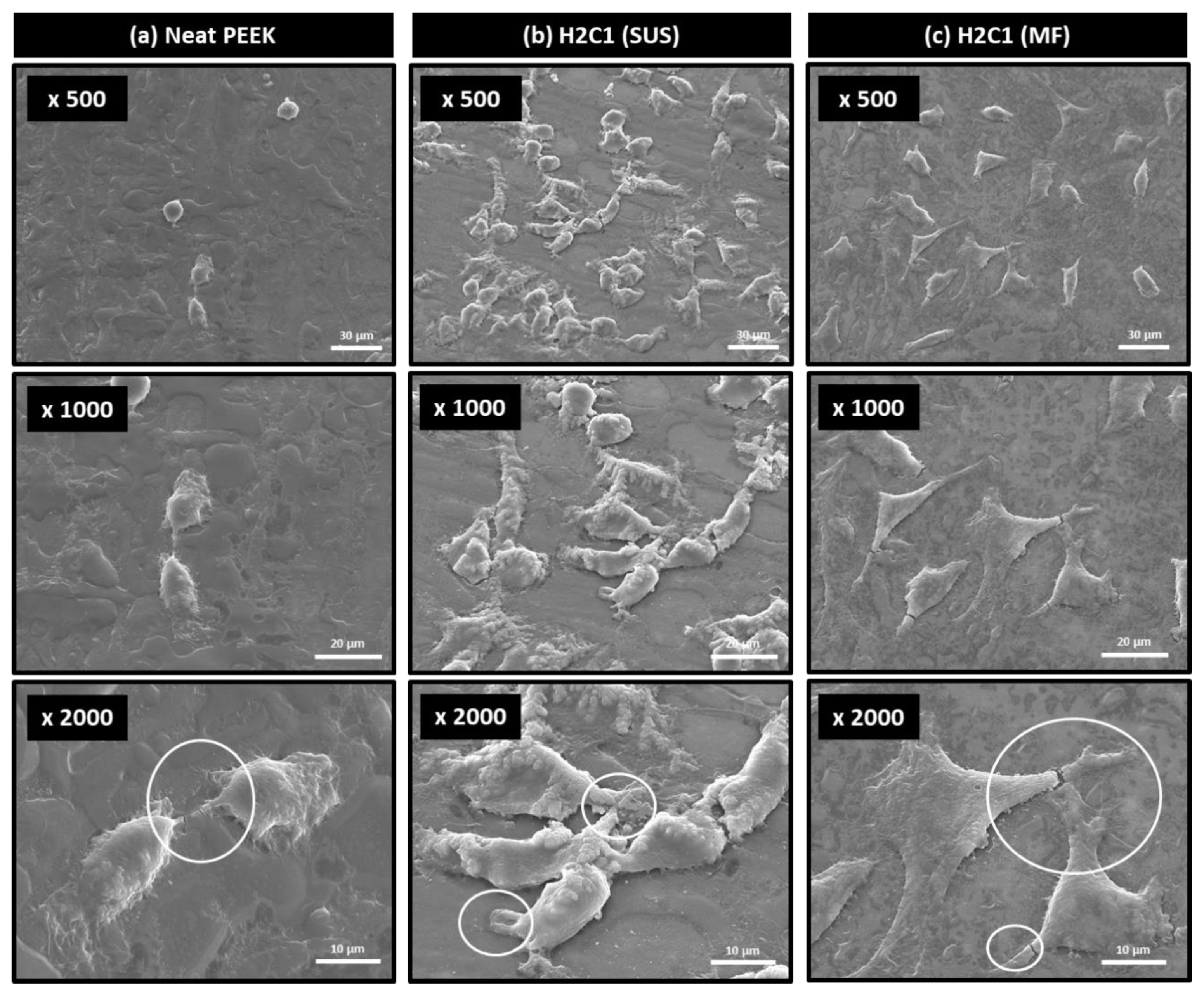 Polymers 13 01978 g007