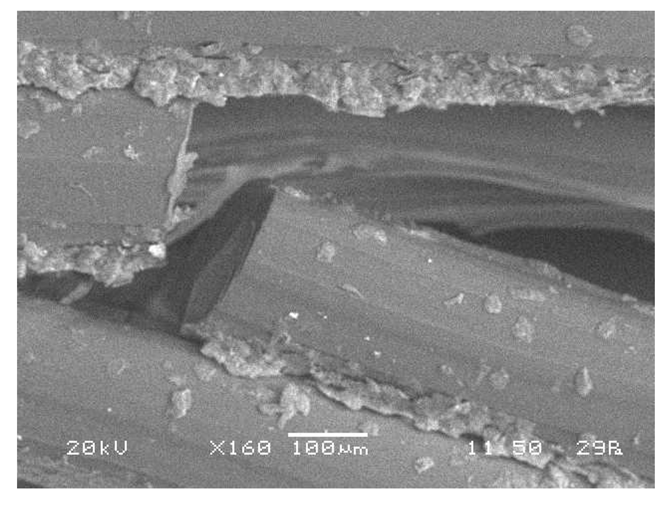 Polymers 13 01983 g006