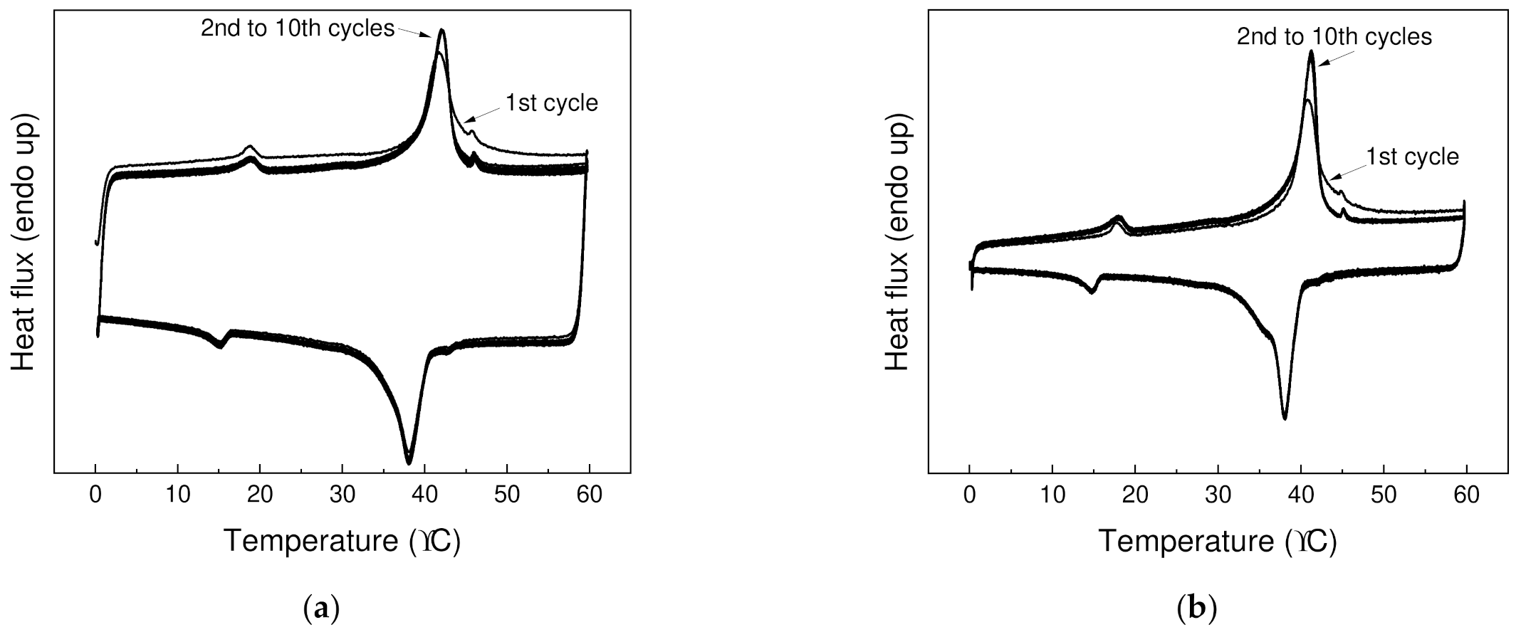 Polymers 13 01987 g005
