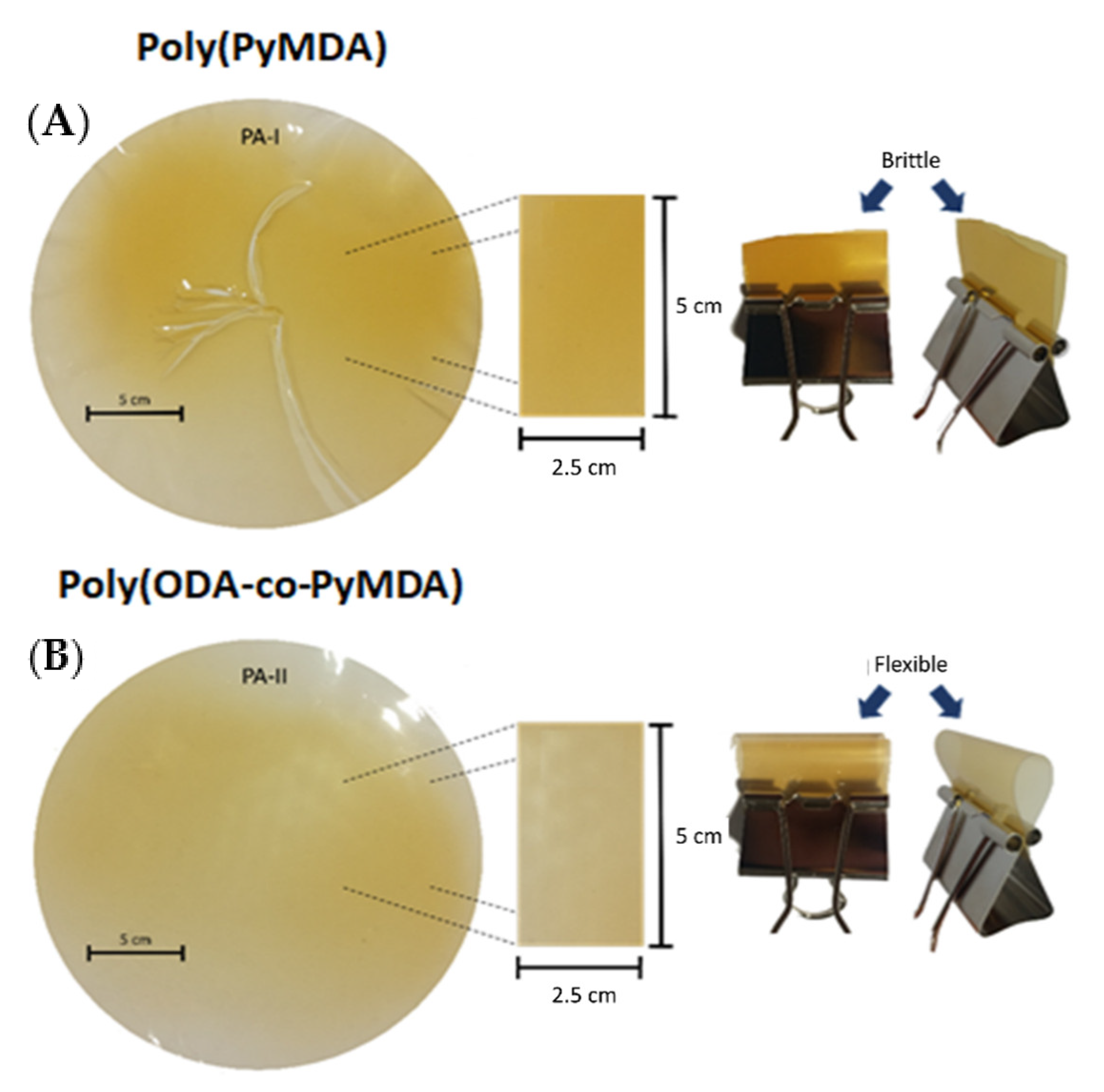 Polymers 13 01993 g001