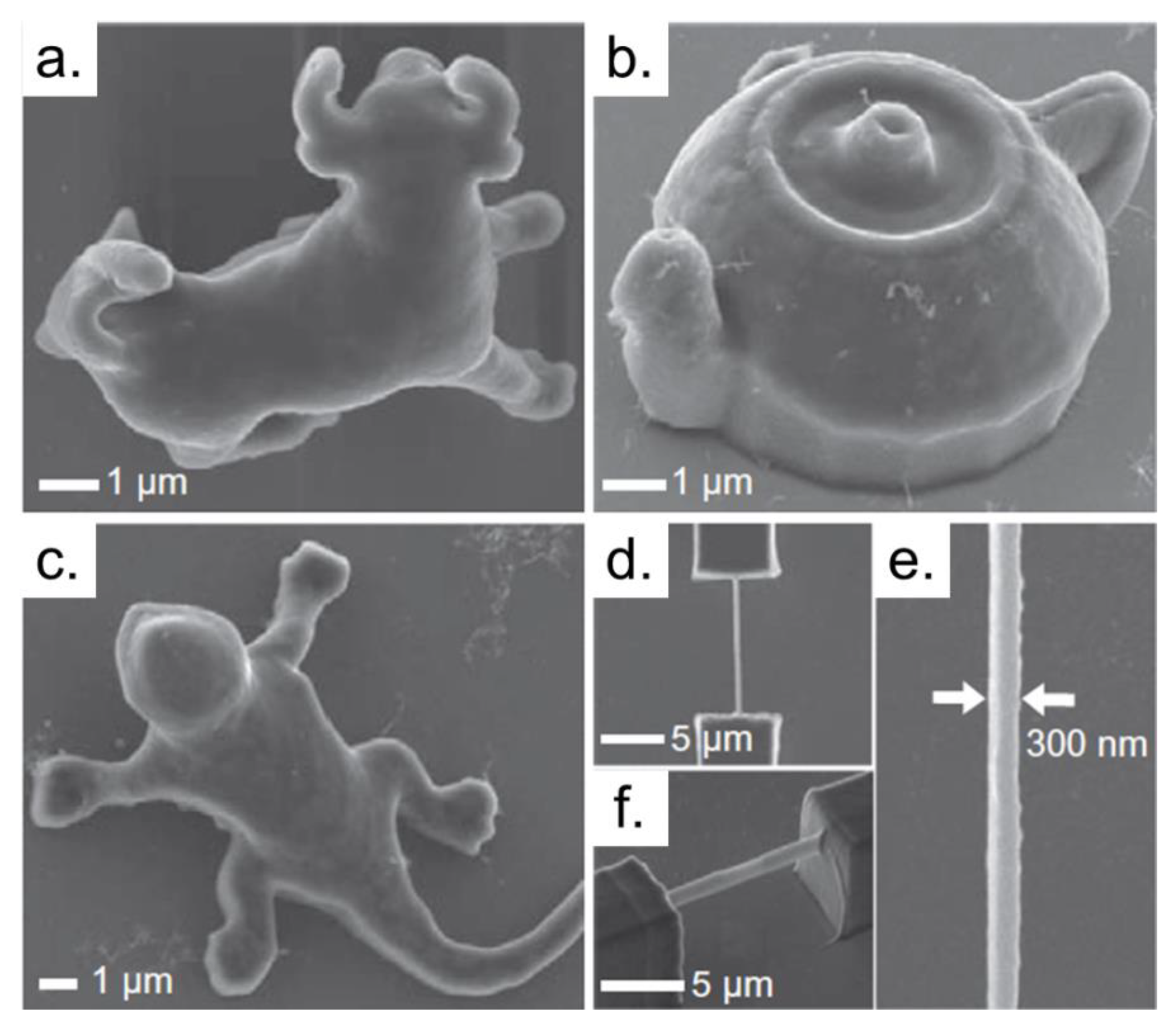 Polymers 13 01994 g007